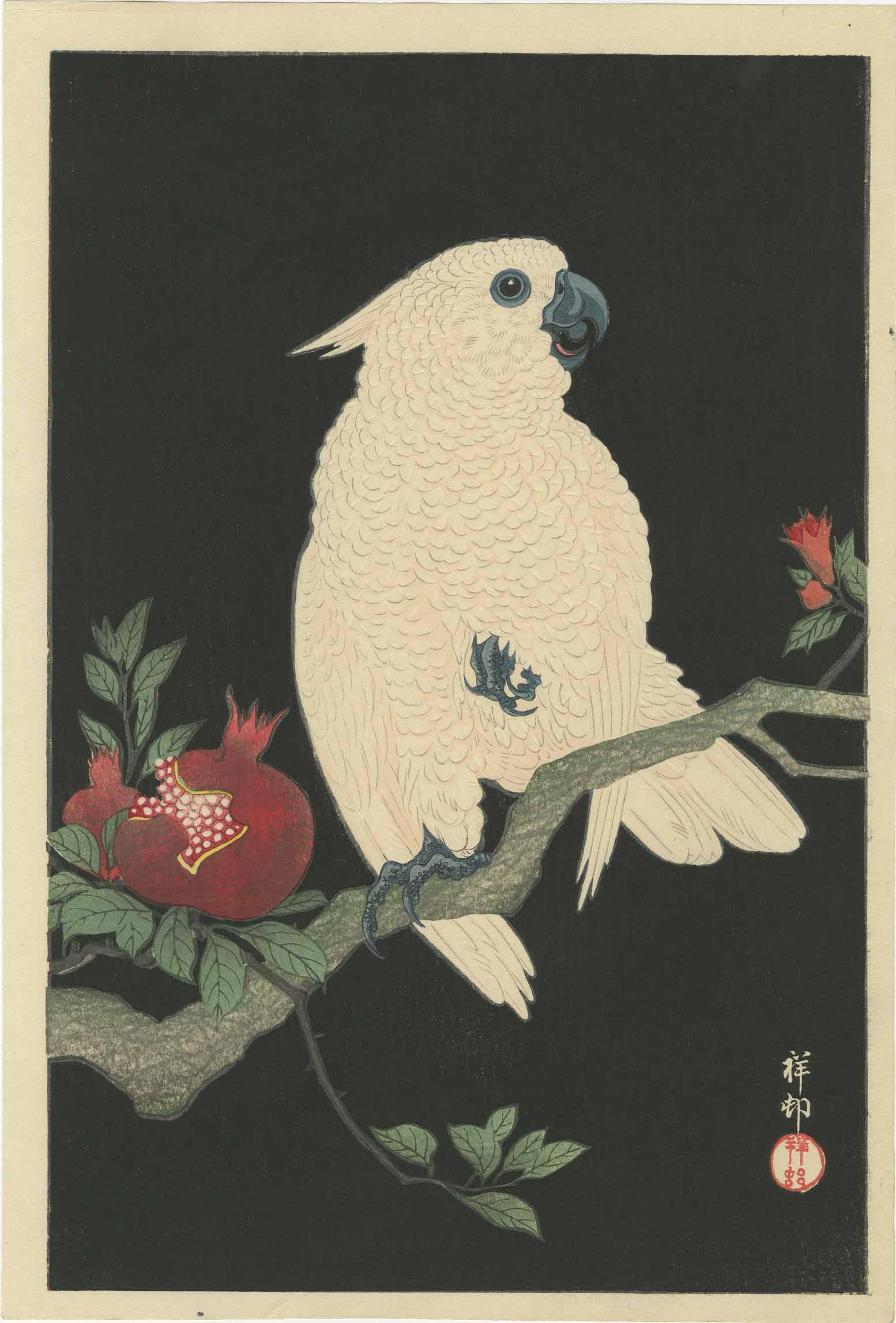 Ohara Koson - Cockatoo and Pomegranate 1927 woodblock: Japanese Woodblock Print, 1927, Watanabe Publisher, Military collection 1948-49. SIZE IN INCHES: 9 1/4 x 14 1/4 inches (plus margins) COMMENTS: J. Mikkelson Collection (USA Army, Tokyo 1948-49). ALL P