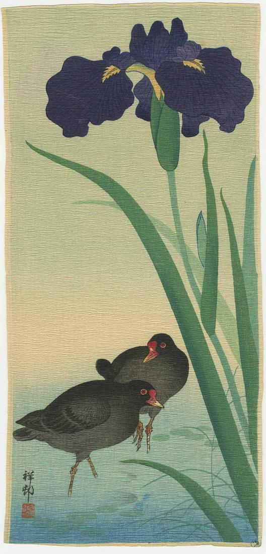 Ohara Koson - Gillinule and Irises c1930 woodblock: Japanese Woodblock Print, c1930-36, Watanabe Publisher, Military collection 1948-49. SIZE IN INCHES: 5 3/8 x 11 1/2 inches COMMENTS: J. Mikkelson Collection (USA Army, Tokyo 1948-49). Skillful bokashi