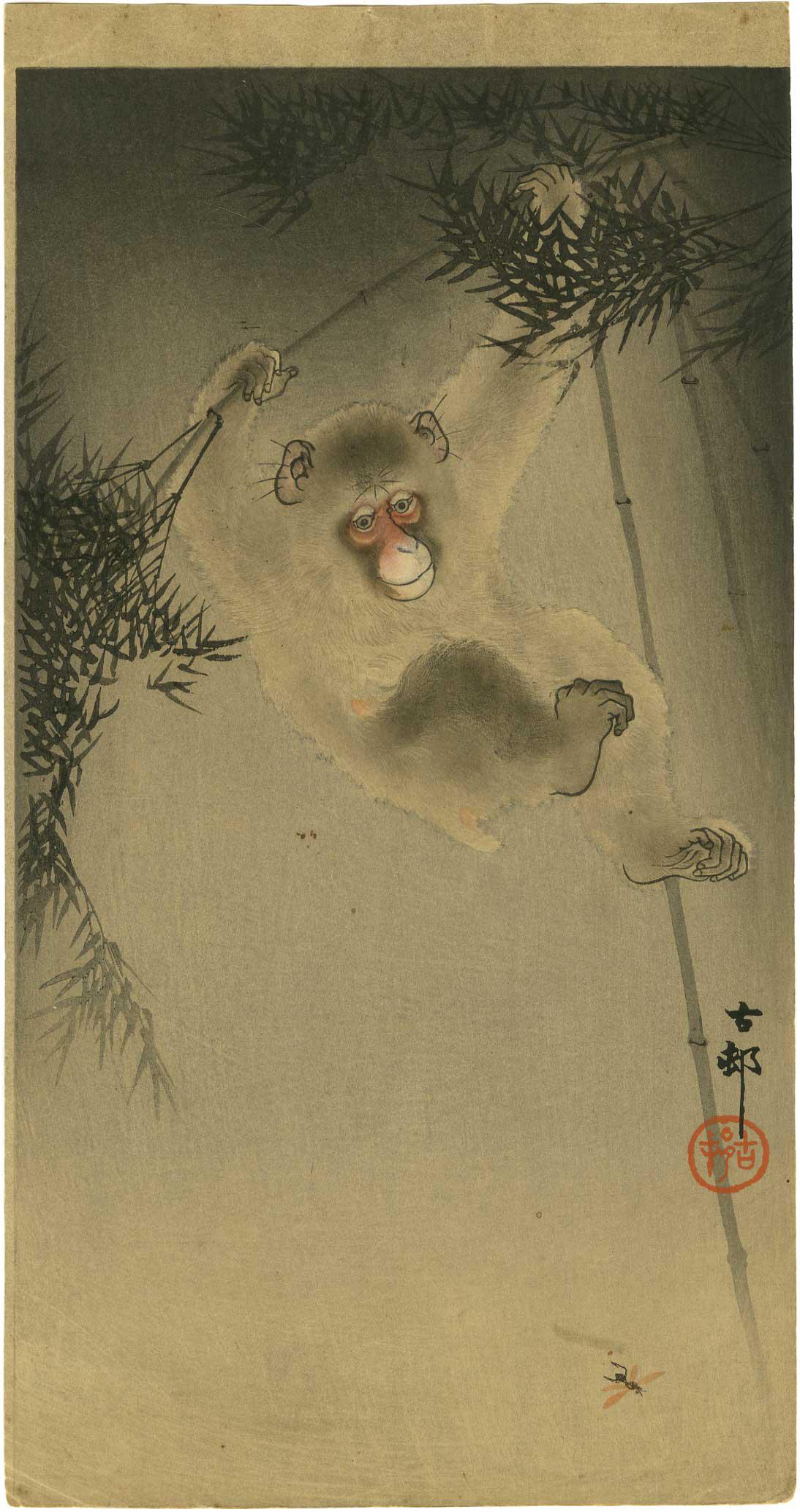 Ohara Koson - Monkey Bamboo Bee c1910 woodblock Pre-EQ: Japanese Woodblock Print, c1910, Daikokuya Publisher, pre-1923 Earthquake. K41.27. SIZE IN INCHES: 7 3/8 x 13 5/8 (margins as published) COMMENTS: Skillfully executed "bokashi" shading, visible "woodg