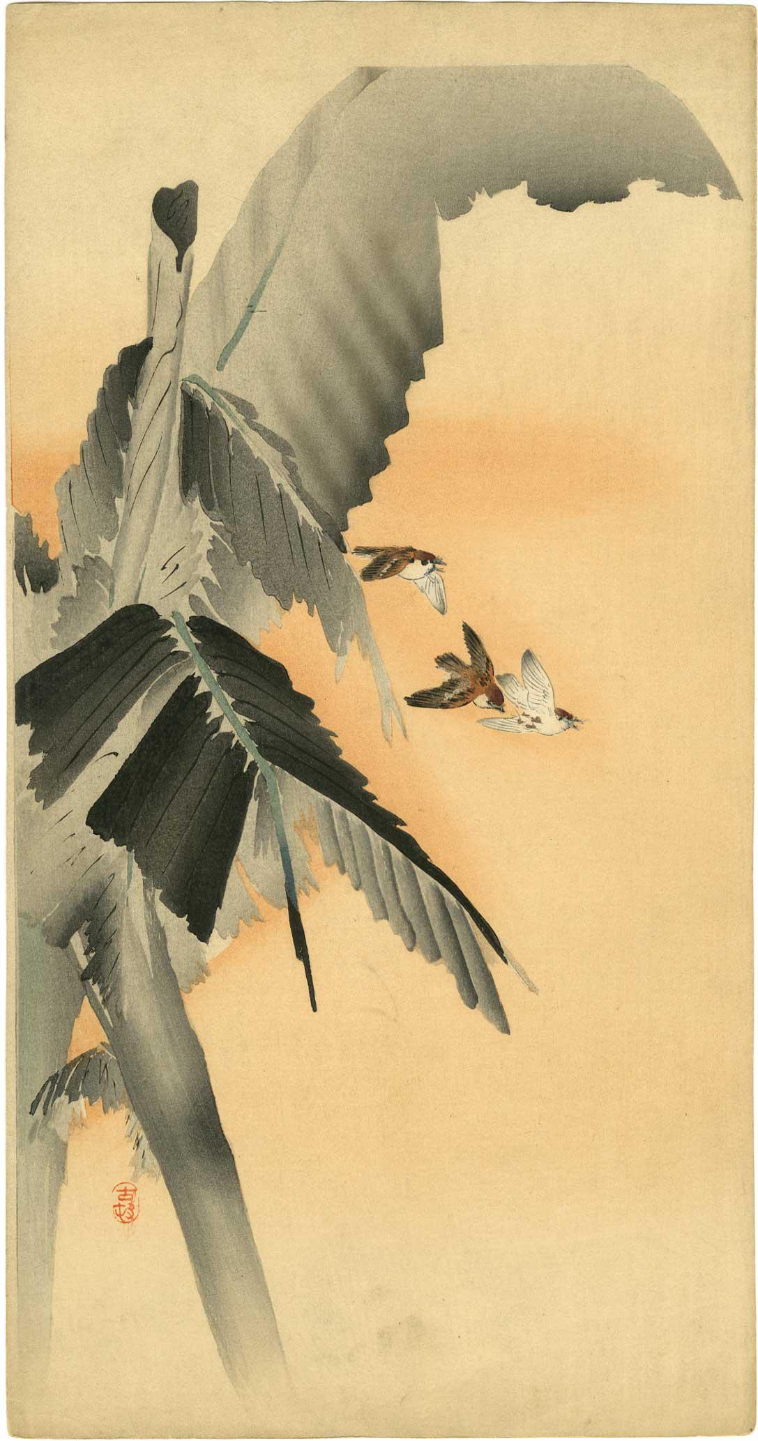 Ohara Koson - Tree Swallows Banana Tree c1910 Pre-EQ: Japanese Woodblock Print, c1910, Daikokuya Publisher, pre-1923 Earthquake. K33.3. SIZE IN INCHES: 7 1/2 x 13 5/8 (margins as published) COMMENTS: Skillfully executed "bokashi" shading, highly detailed