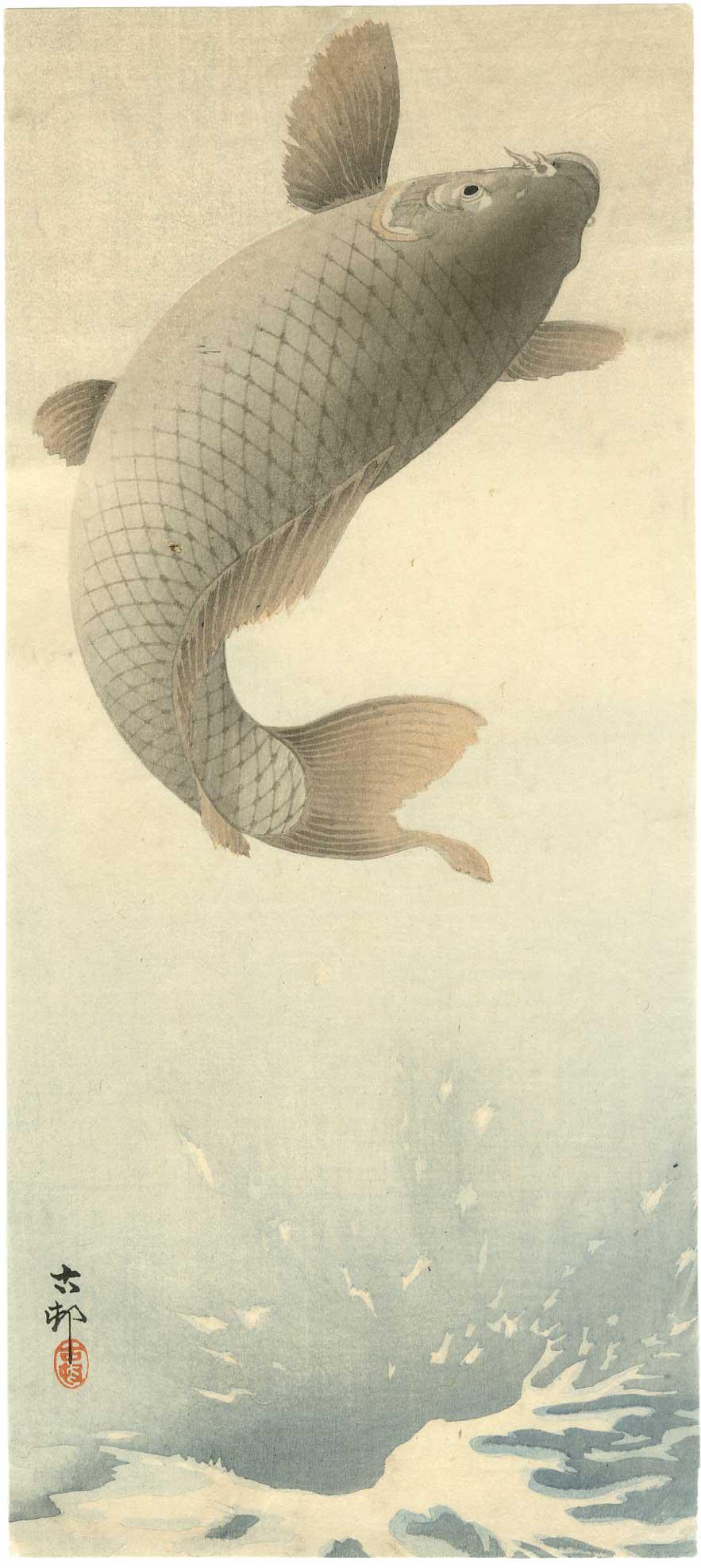 Ohara Koson - Leaping Carp c1910 woodblock Pre-EQ: Japanese Woodblock Print, c1910, Daikokuya Publisher, pre-1923 Earthquake. K39.3. SIZE IN INCHES: 6 x 13 1/2 (margins as published) COMMENTS: Skillfully executed "bokashi" shading, visible "woodgrain"