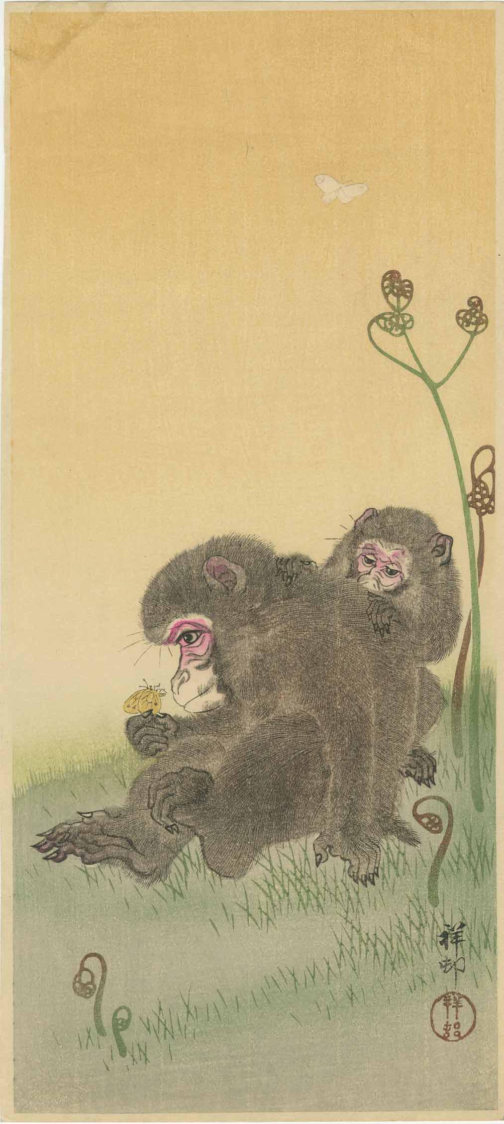 Ohara Koson - Monkeys & Butterfly c1930 woodblock: Japanese Woodblock Print, c1930, Watanabe Publisher, Military collection 1948-49. SIZE IN INCHES: 6 1/2 x 14 3/4 inches (plus margins) COMMENTS: J. Mikkelson Collection (USA Army, Tokyo 1948-49). Skil