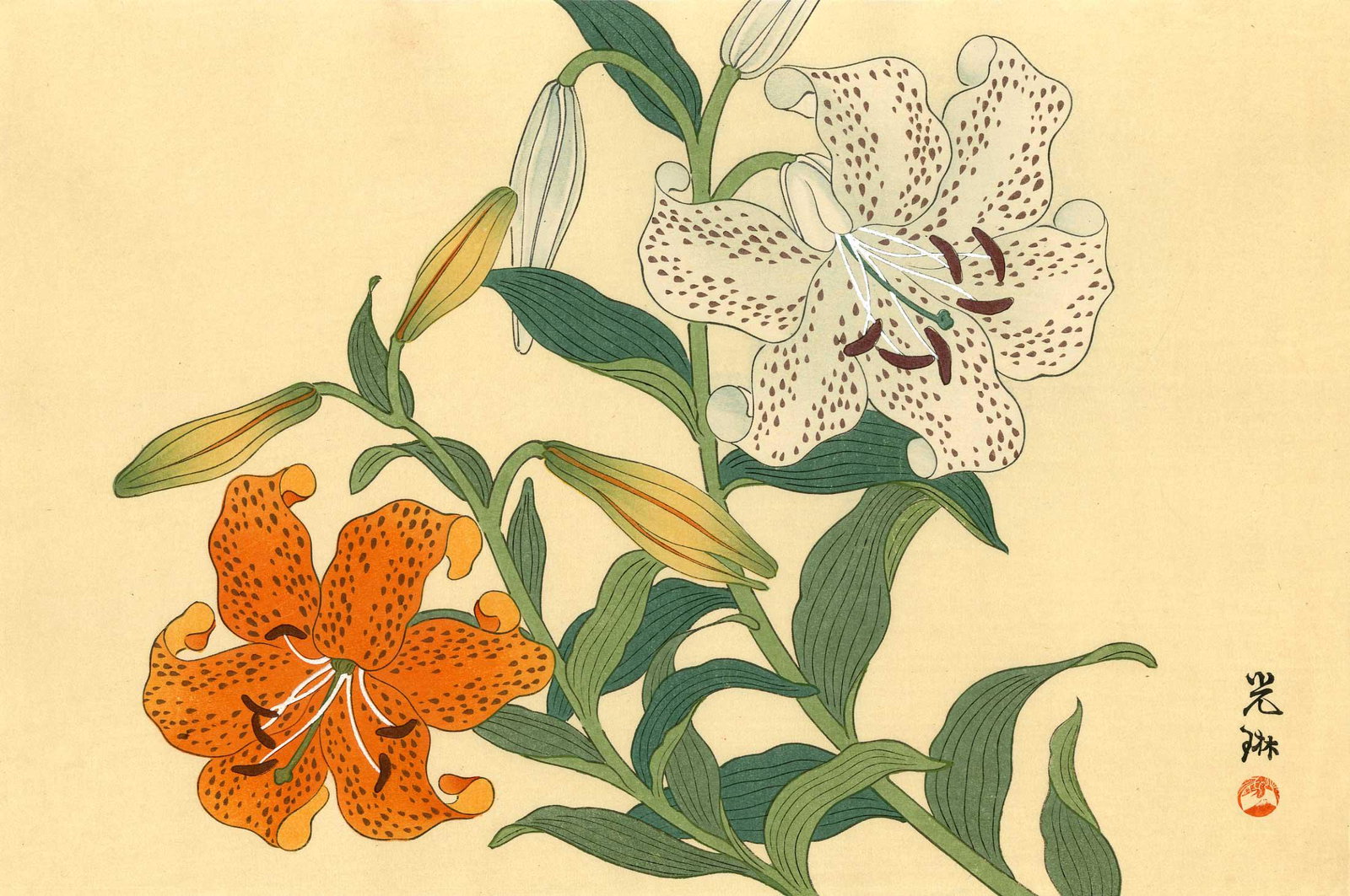 Korin Ogata: Tiger Lilies 1930s Woodblock Print: Japanese Woodblock Print, 1930s, published by the Shima Art Co. SIZE IN INCHES: oban, 15.5 x 10.25 inches COMMENTS: From the Robert O. Muller estate OGATA KORIN (1657-1716), a Japanese painter and lac