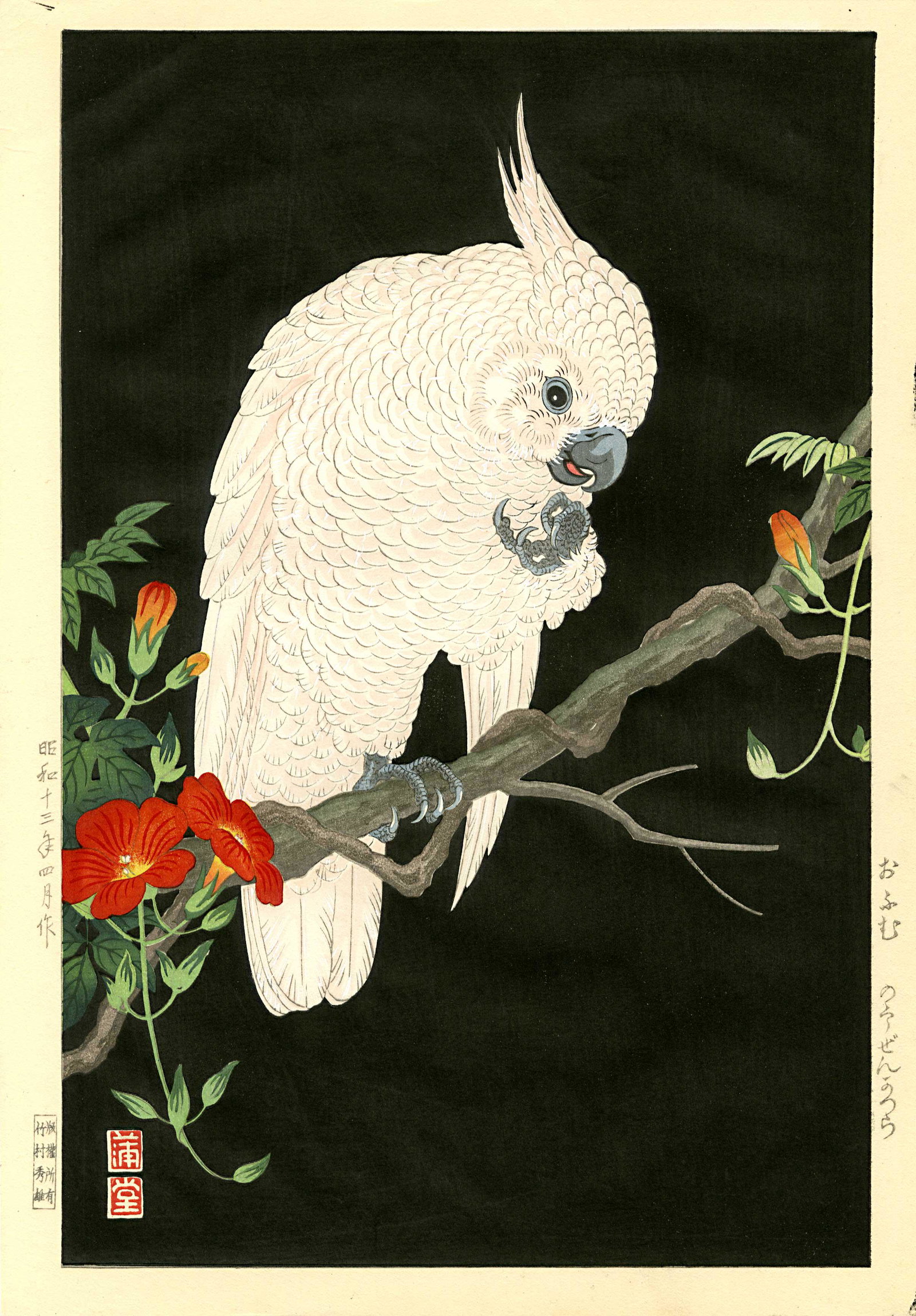 Hodo Nishimura: Cockatoo on Black 1938 Woodblock: Japanese Woodblock Print, 1938, 1st edition, published by Takemura Hideo (Yokahama, 1926-1939) SIZE IN INCHES: 10.75 x 15.5 inches PROVENANCE: From the estate of Robert O. Muller HODO NISHIMURA was a 
