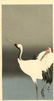 Koson Ohara - Emperor Cranes 1920s Woodblock Muller
