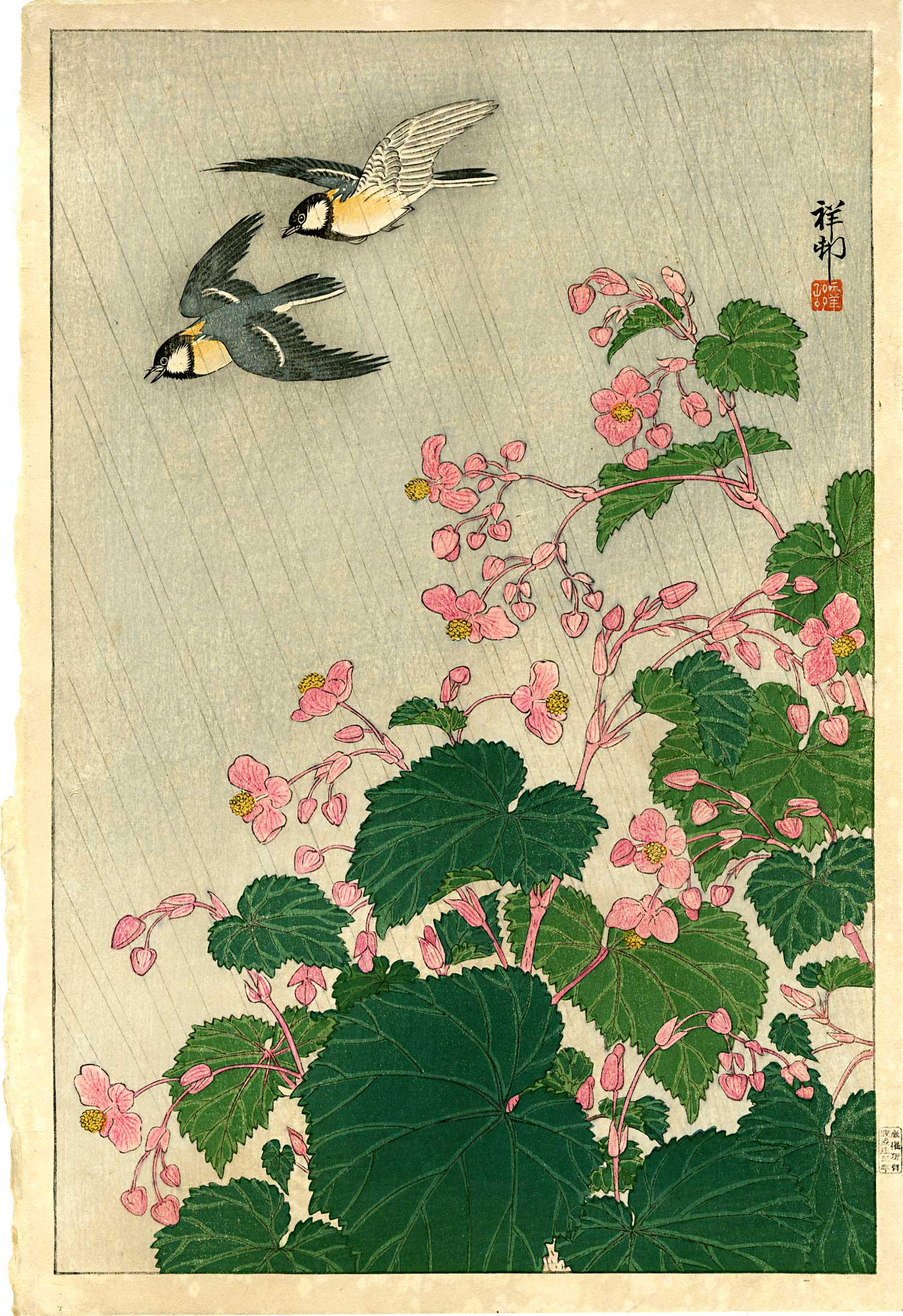 Koson Ohara: Tits and Begonias 1929 Woodblock: Japanese Woodblock Print, 1929, 1st Edition with publisher's "A" seal (used 1924-1930), published by Shozaburo Watanabe SIZE IN INCHES: oban, 10.25 x 15.25 inches OHARA SHOSON was the student of Suzuk