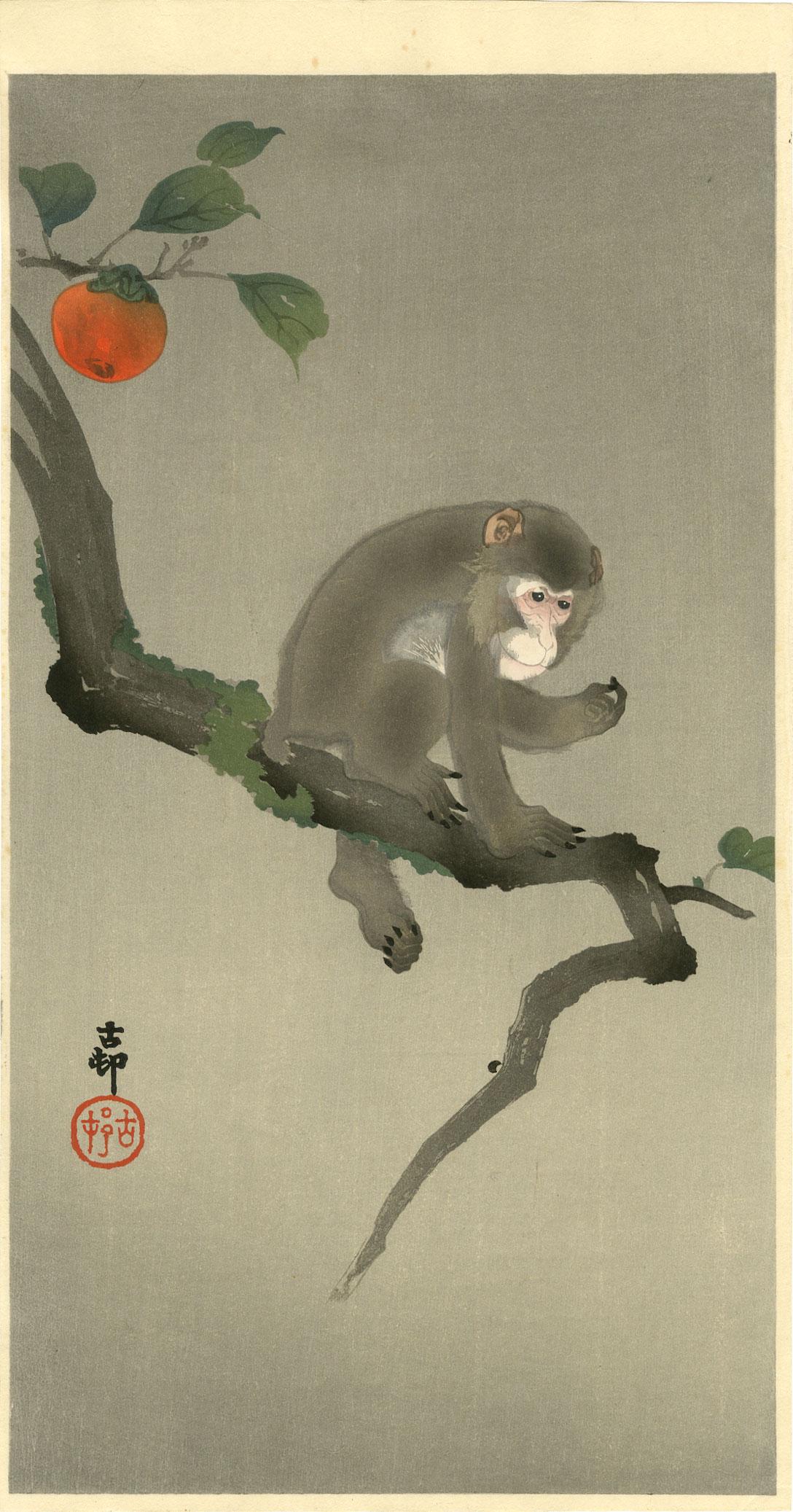 Ohara Koson - Monkey in Persimmon Tree Muller woodblock: Japanese Woodblock Print, 1910-20's, Daikoku-ya Publisher. SIZE IN INCHES: 7 1/4 x 13 1/8 (plus margins) COMMENTS: Superbly executed "bokashi" shading; nicely visible "woodgrain" in background; sharp 
