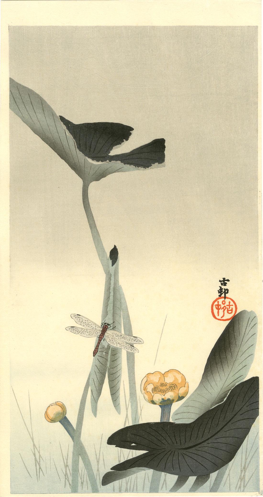 Ohara Koson - Dragonfly & Lotus woodblock MULLER Estate: Japanese Woodblock Print, 1910-20's, Daikoku-ya Publisher. SIZE IN INCHES: 7 1/4 x 13 1/2 (plus margins) COMMENTS: Superbly executed "bokashi" shading; nicely visible woodgrain in background; highly d