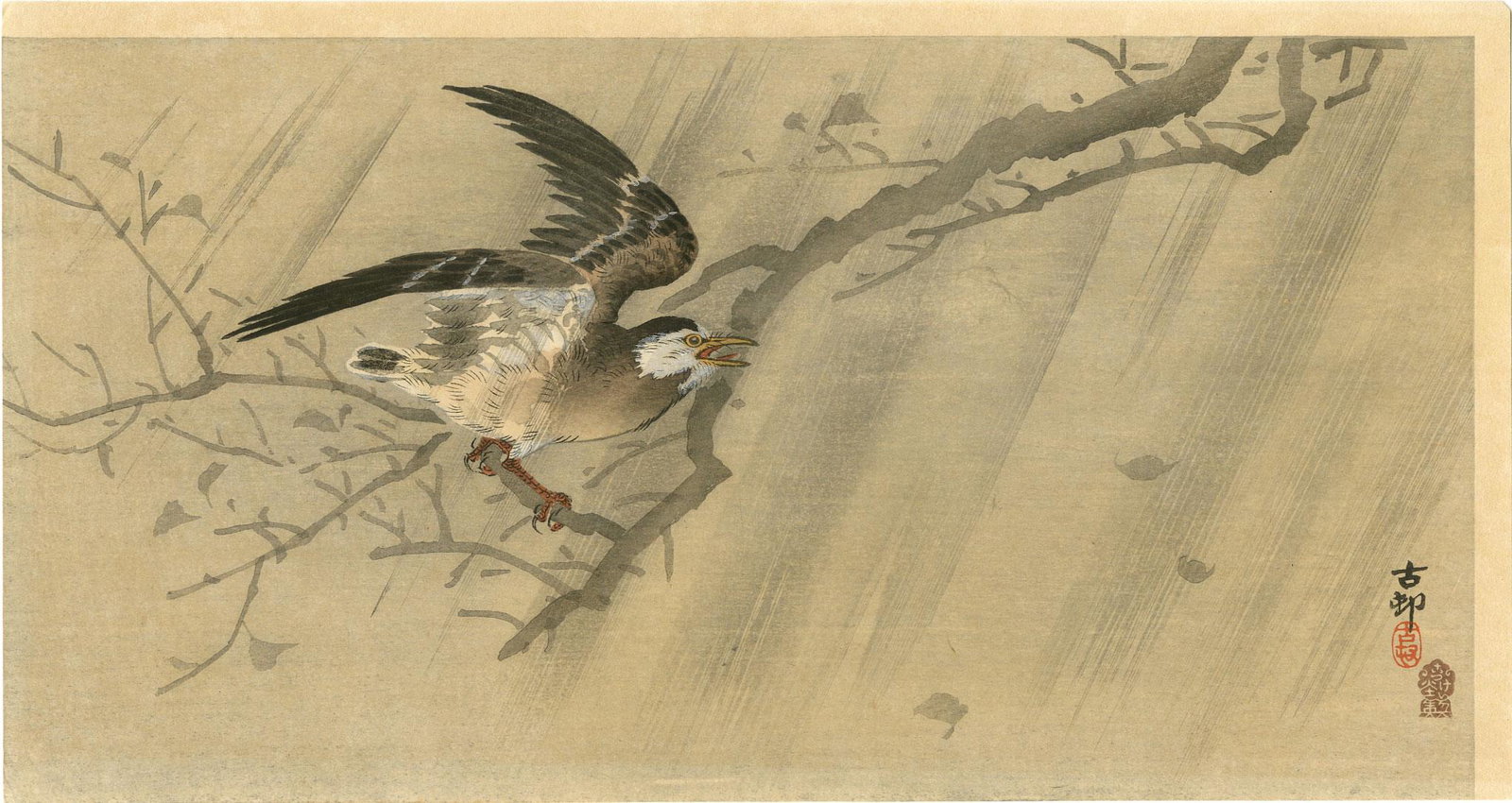 Ohara Koson - Starling in Sudden Shower woodblock Rare: Japanese Woodblock Print, 1910-20's, Daikoku-ya Publisher (Tokyo, 1818-1923). SIZE IN INCHES: 13 5/8 x 7 (plus margins) COMMENTS: Superbly executed "bokashi" shading; highly detailed. Obtained 2006 vi