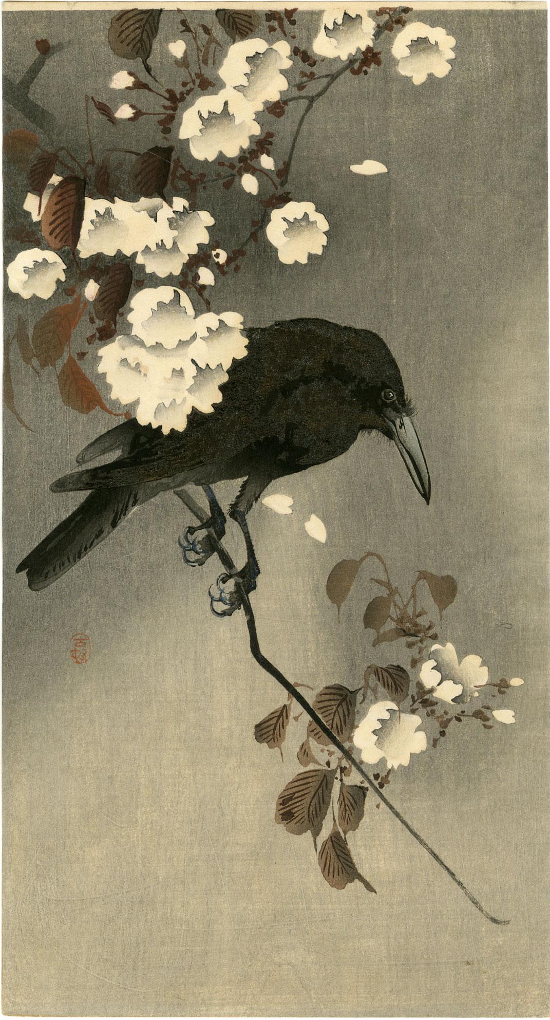 Ohara Koson - Crow on Cherry woodblock c1910 RARE: Japanese Woodblock Print, c1910 Pre-Earthquake, Daikoku-ya Publisher (Tokyo, 1818-1923), original print. SIZE IN INCHES: 7 3/8 x 13 1/2 COMMENTS: Soft "bokashi" shading to cherry blossoms, leaves, bac