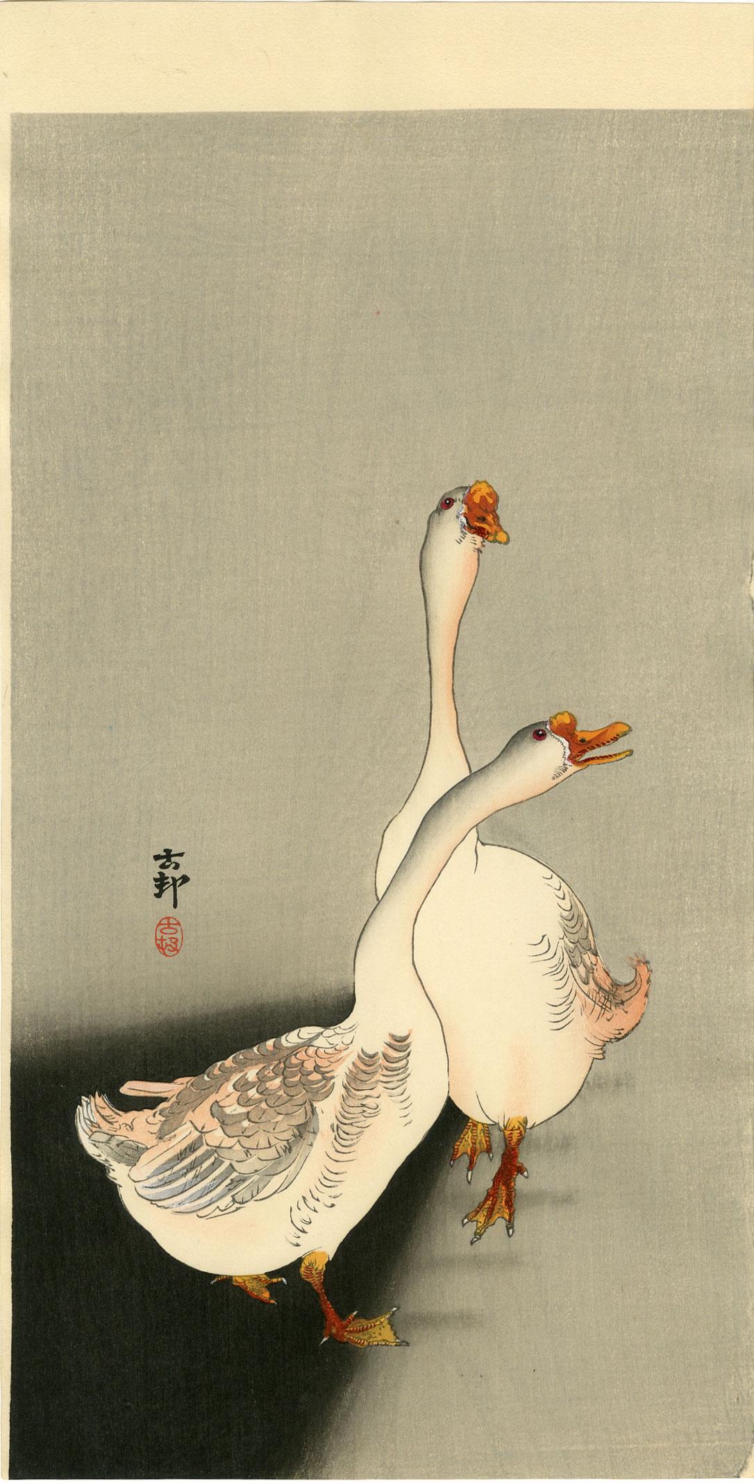 Koson Ohara: Domestic Geese 1920s Woodblock: Japanese Woodblock Print, 1920s, published by Daikokuya SIZE IN INCHES: ohosoban, 7.5 x 14.5 inches PROVENANCE: From the Robert O. Muller estate OHARA KOSON (1877-1945), who also went by the art names