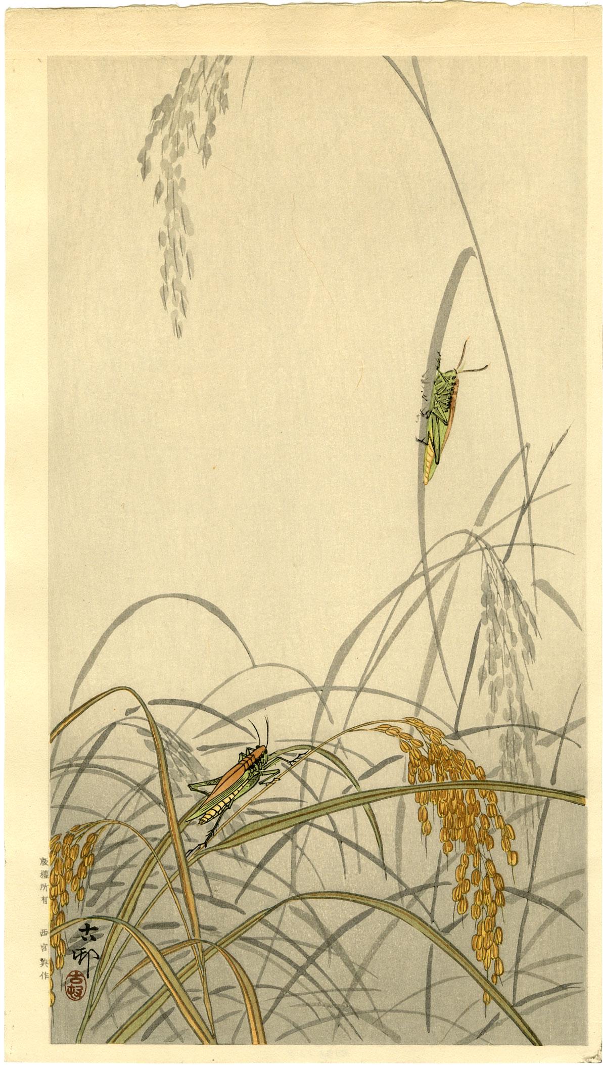 Koson Ohara: Grasshopper on Wheat 1920s Woodblock: Japanese Woodblock Print, 1920s, published by Nishinomiya with publishers seal in left margin SIZE IN INCHES: ohosoban, 8.25 x 14.675 inches PROVENANCE: From the Robert O. Muller estate OHARA KOSON (1