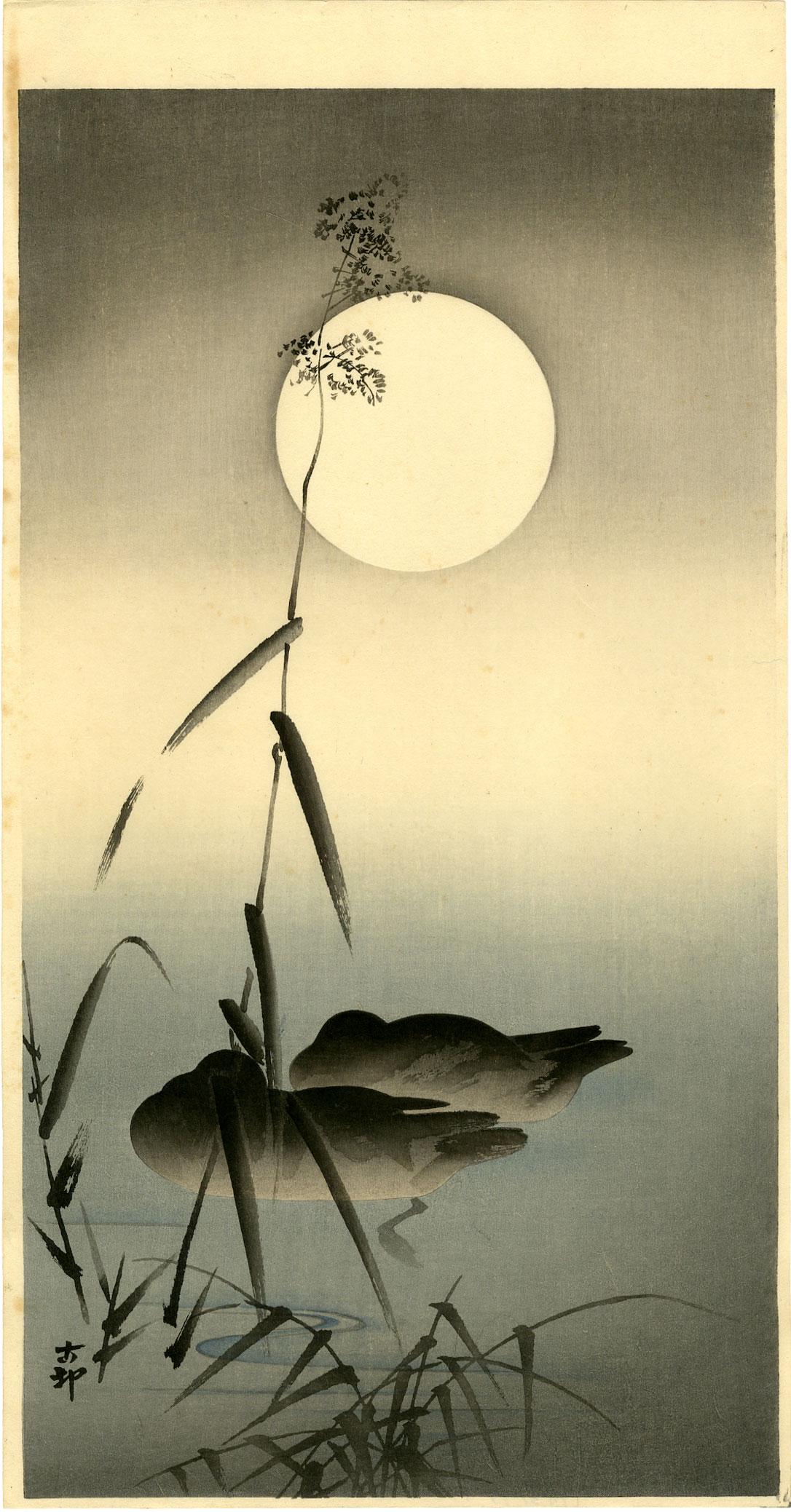 Ohara Koson: Sleeping Ducks Full Moon 1920s Woodblock: Japanese Woodblock Print, 1920s, published by Daikokuya SIZE IN INCHES: ohosoban, 7.5 x 14.5 inches PROVENANCE: From the Robert O. Muller estate OHARA KOSON (1877-1945), who also went by the art names