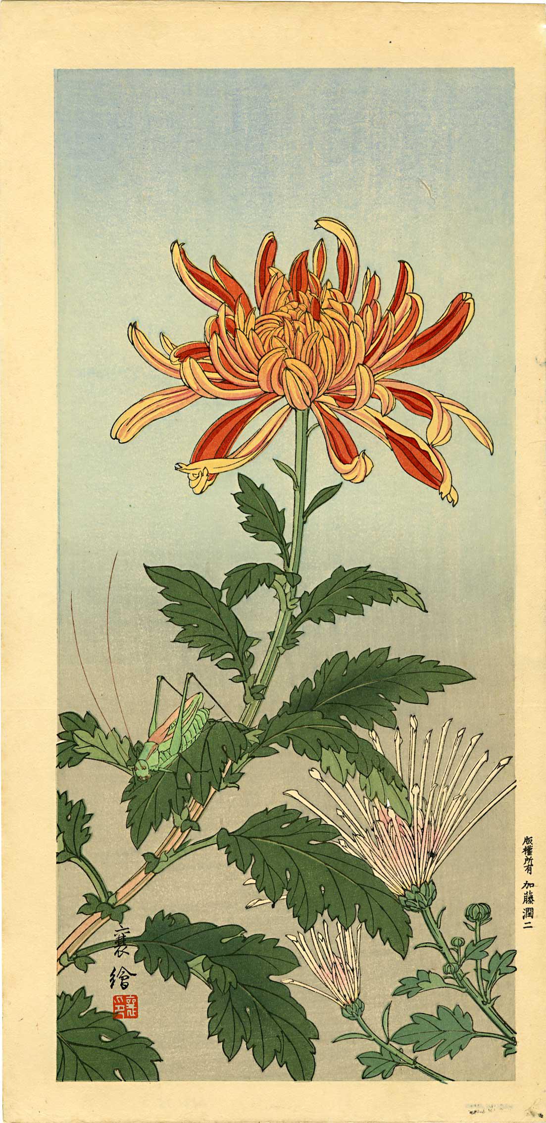 Hashimoto Yuzuru (Jo): Grasshopper 1930 Woodblock: Japanese Woodblock Print, Grasshopper and Chrysanthemum, 1930, published by Kato Junji SIZE IN INCHES: ohosoban, 7.5 x 15.75 inches PROVENANCE: From the Robert O. Muller estate