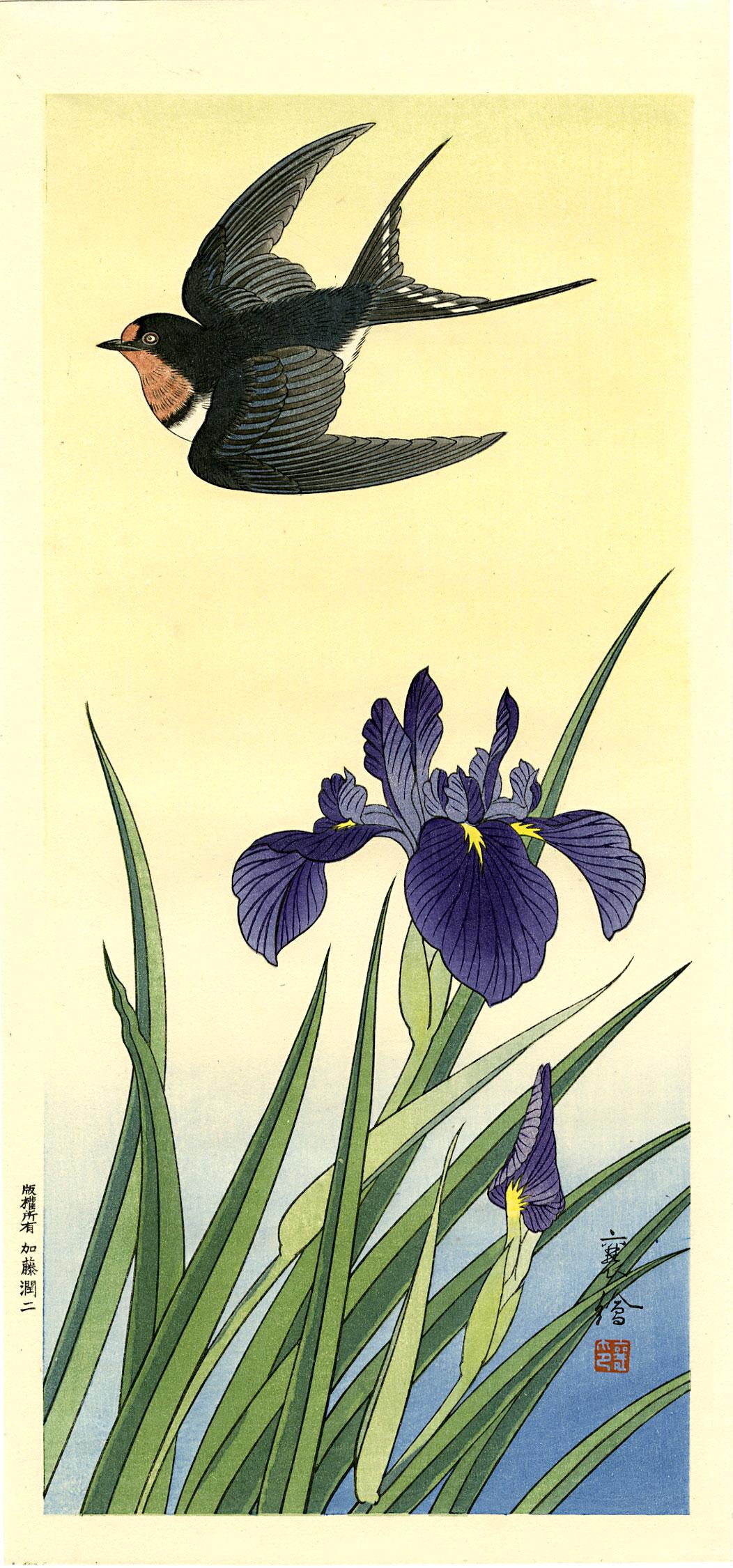 Hashimoto Yuzuru (Jo): Swallow and Iris 1930 Woodblock: Japanese Woodblock Print, 1930, published by Kato Junji SIZE IN INCHES: ohosoban, 7.5 x 15.75 inches PROVENANCE: From the Robert O. Muller estate
