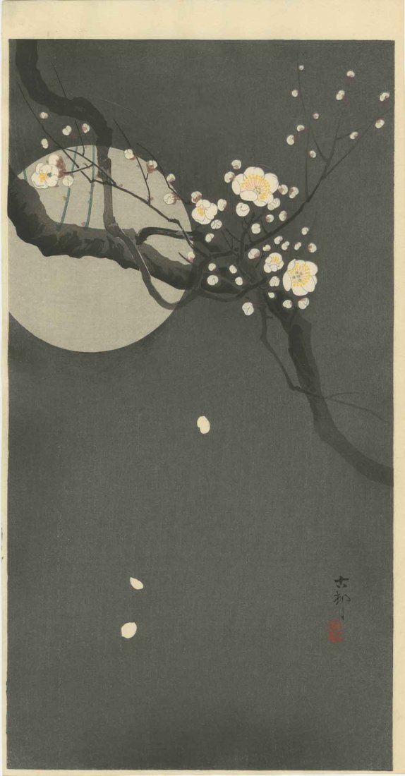 Koson Ohara - Flowering Plum & Moon MULLER Woodblock: Japanese Woodblock Print, c1910/20's, Daikoku-ya Publisher SIZE IN INCHES: 7 1/4 x 13 1/2 (plus margins) COMMENTS: Robert O. Muller Estate. Skillful "bokashi" shading, "gauffrage" (embossing), highly 