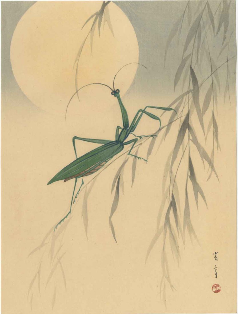 Watanabe Seitei - Praying Mantis, Willow Moon woodblock: Japanese Woodblock Print, c1930, Shima Art Company Publisher, original print. SIZE IN INCHES: 7 1/2 x 10 (plus margins) COMMENTS: Skillful bokashi shading. Robert O. Muller Estate. Vintage printing.