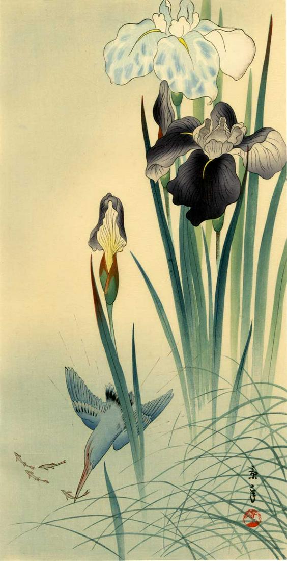 Imao Keinen: Kingfisher and Iris 1930 Woodblock: Japanese Woodblock Print, c.1930s, published by the Shima Art Company SIZE IN INCHES: ohosoban, 6.7 x 15 inches PROVENANCE: from the estate of Robert O. Muller IMAO KEINEN (1845-1923) was born Kyoto. 