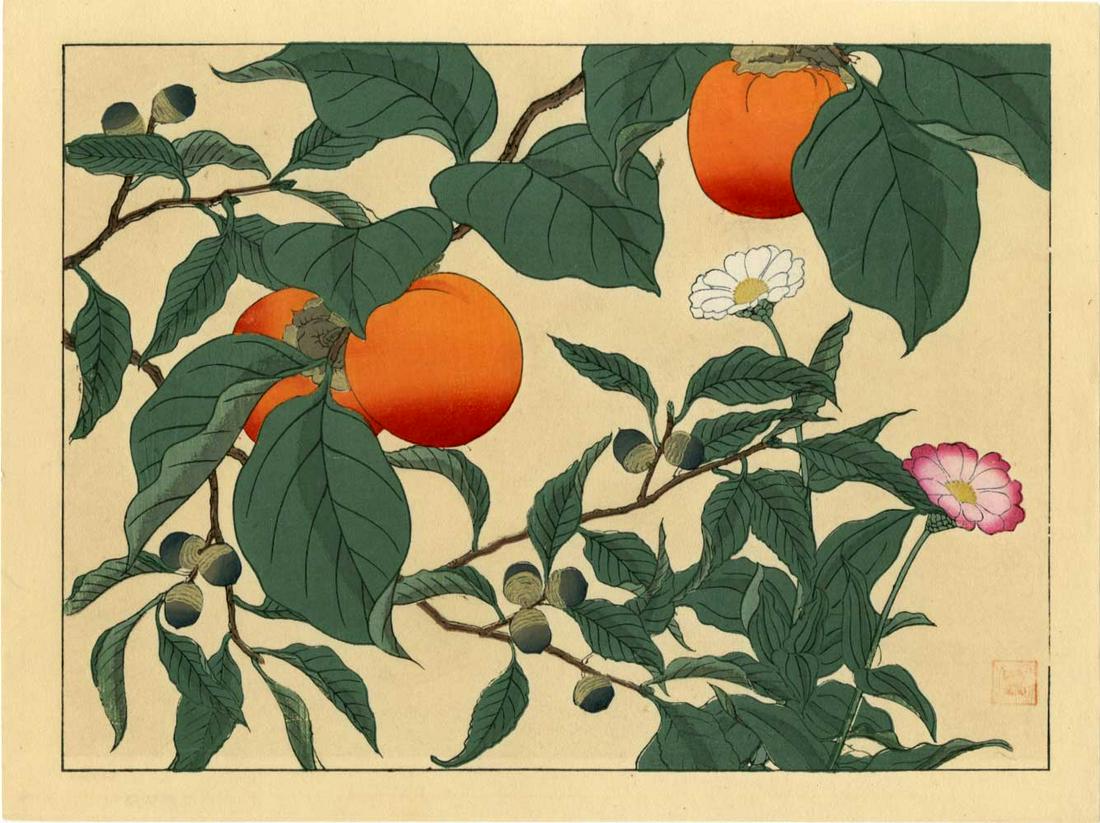 Not Signed: Persimmons and Acorns 1930s Woodblock: Japanese Woodblock Print, 1930s, publisher unknown SIZE IN INCHES: oban, 15.5 x 10.25 inches PROVENANCE: From the Robert O. Muller estate. ROBERT O. MULLER'S love affair with Japanese prints began one
