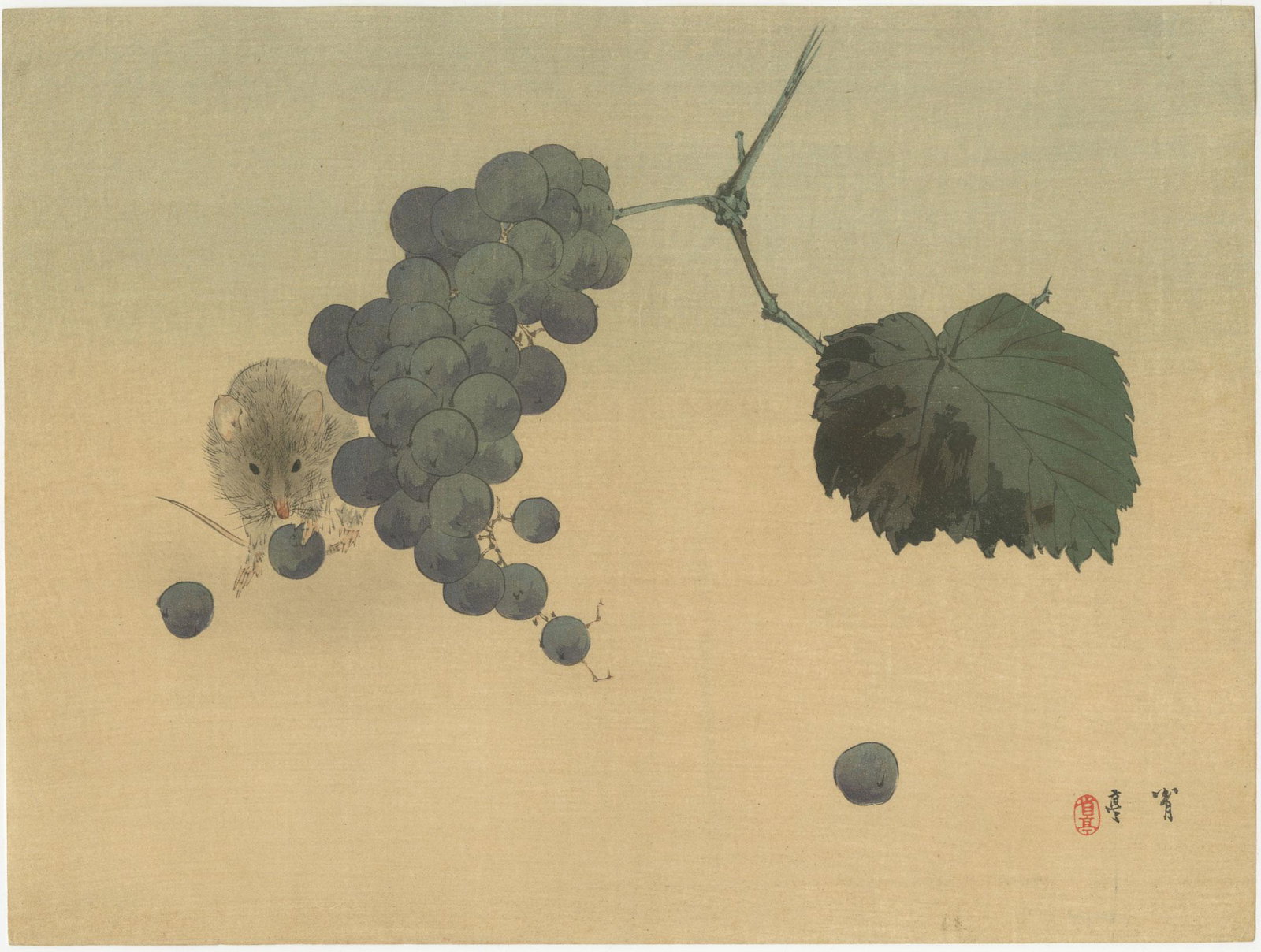 Watanabe Seitei - Mouse & Grapes c1930 MULLER woodblock: Japanese Woodblock Print, c1930, Shima Art Company Publisher. Robert O. Muller Estate source. SIZE IN INCHES: 11 x 8.25 PROVENANCE: The William Schwed Family Estate - Lifetime Private Collection. COMM