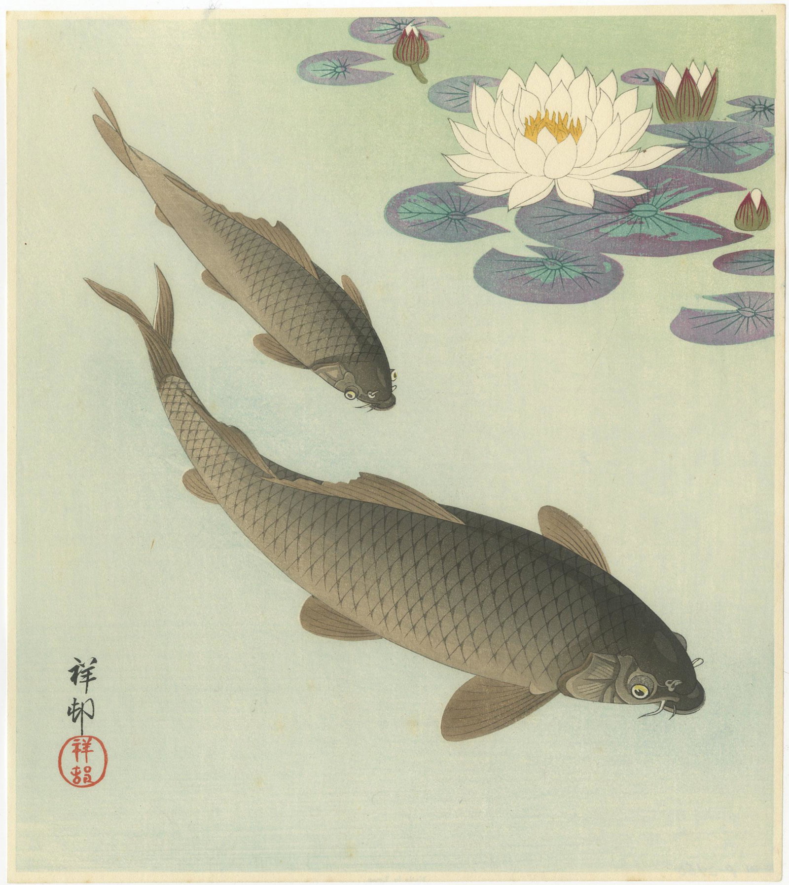 Ohara Koson - Carp and White Lotus 1933 RARE: Japanese Woodblock Print, 1933, Watanabe Publisher, original printing. SIZE IN INCHES: 9.75 x 11 PROVENANCE: The William Schwed Family Estate - Lifetime Private Collection. COMMENTS: Skillfully printe