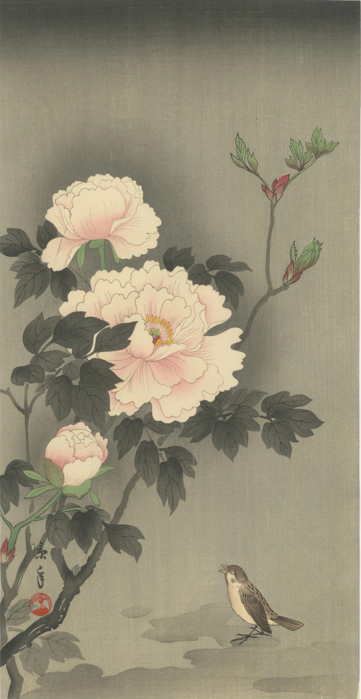 Imao Keinen: Sparrow and Peonies 1930 Woodblock: Japanese Woodblock Print,c.1930, published by the Shima Art Company, signed and sealed Keinen SIZE IN INCHES: ohosoban, 7.675 x 15 inches PROVENANCE: from the estate of Robert O. Muller IMAO KEINEN (1