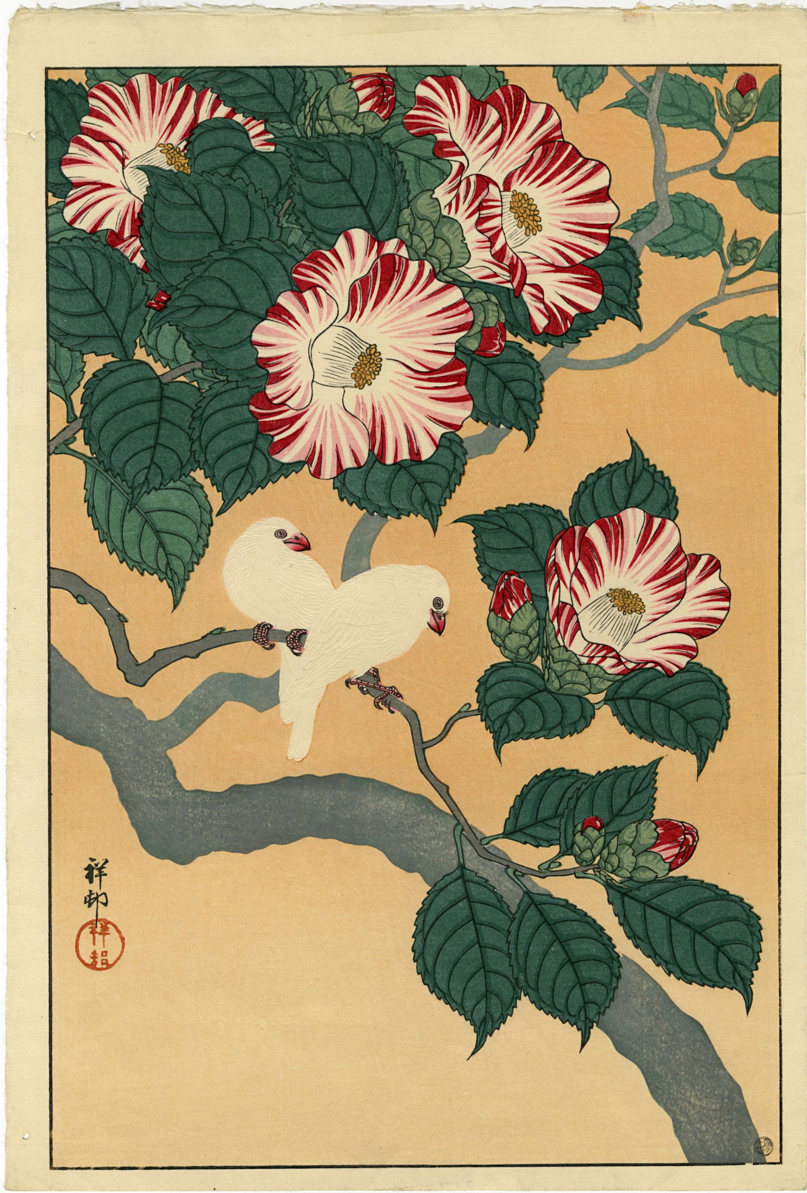Koson Ohara: Camellia and Rice Birds1929 Woodblock: Japanese Woodblock Print, 1929, later printing from the original blocks published by Shozaburo Watanabe with publisher's 6mm seal (1946-1957) SIZE IN INCHES: oban, 10.25 x 15.25 inches COMMENTS: Rarel