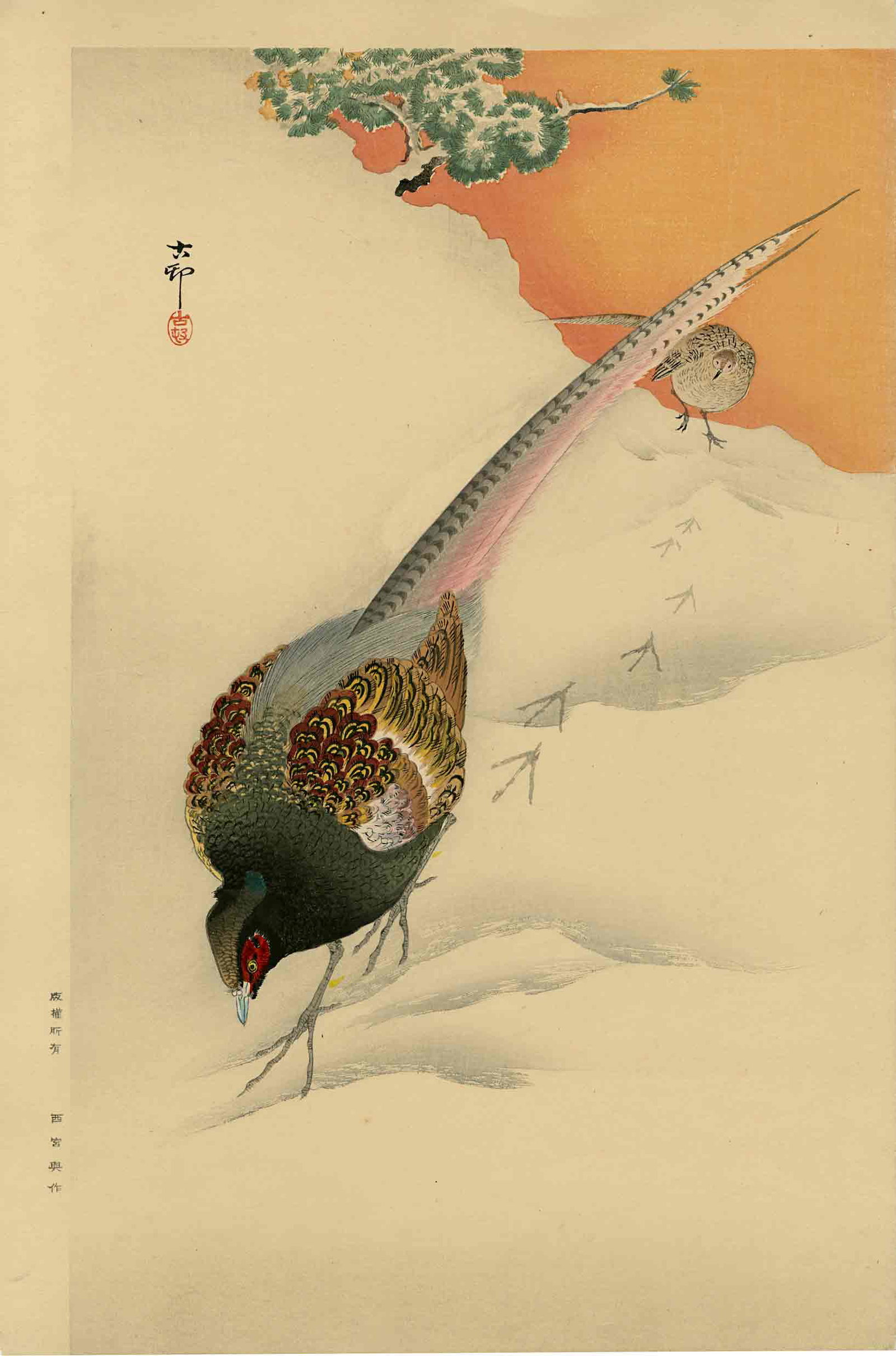Koson Ohara: A Pair of Pheasants c.1930 Woodblock NR: Japanese Woodblock Print, c. 1930s, published by Nishinomiya Yosaku with publisher's seal in the left margin, this print is as issued with no right or bottom margin as all other copies of this print w