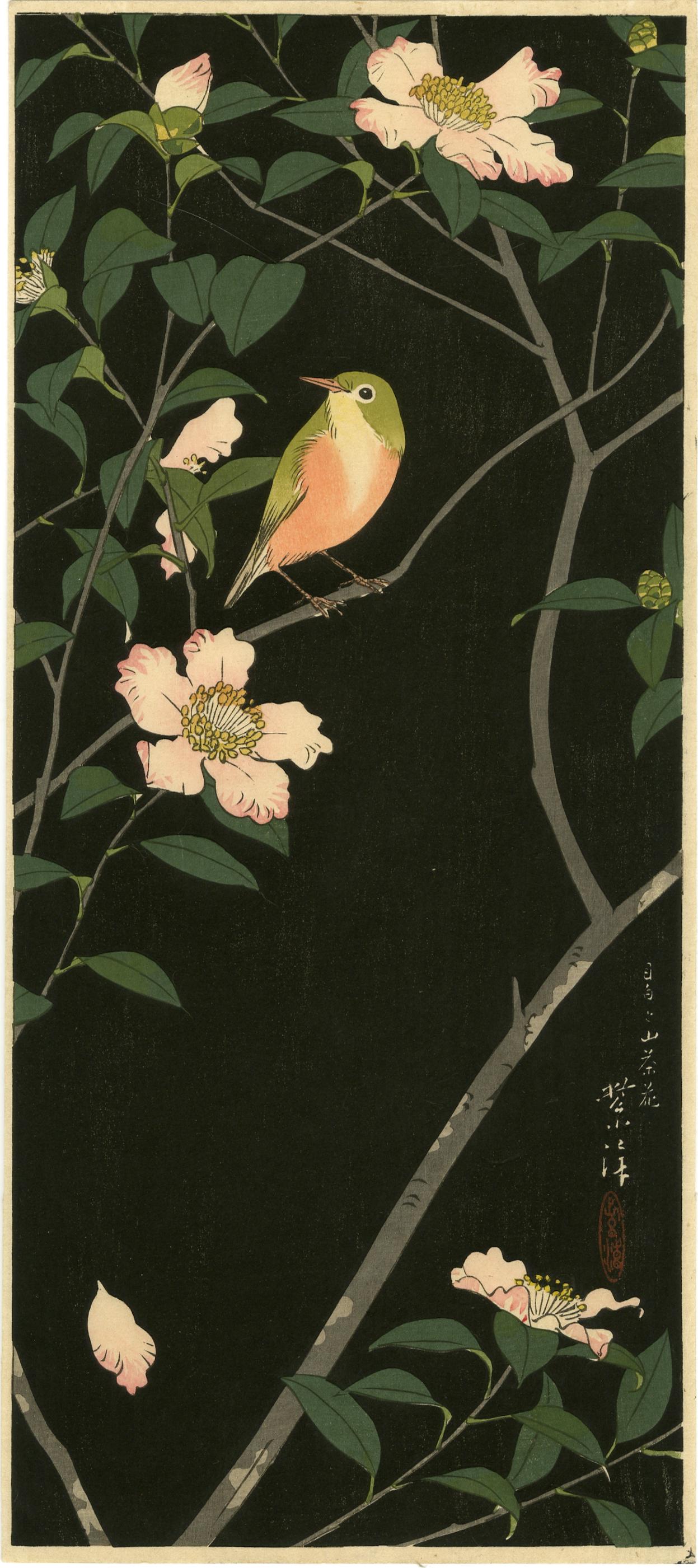 Kasamatsu Shiro - White-eye & Camellia 1936 MULLER Est (1 of 2)