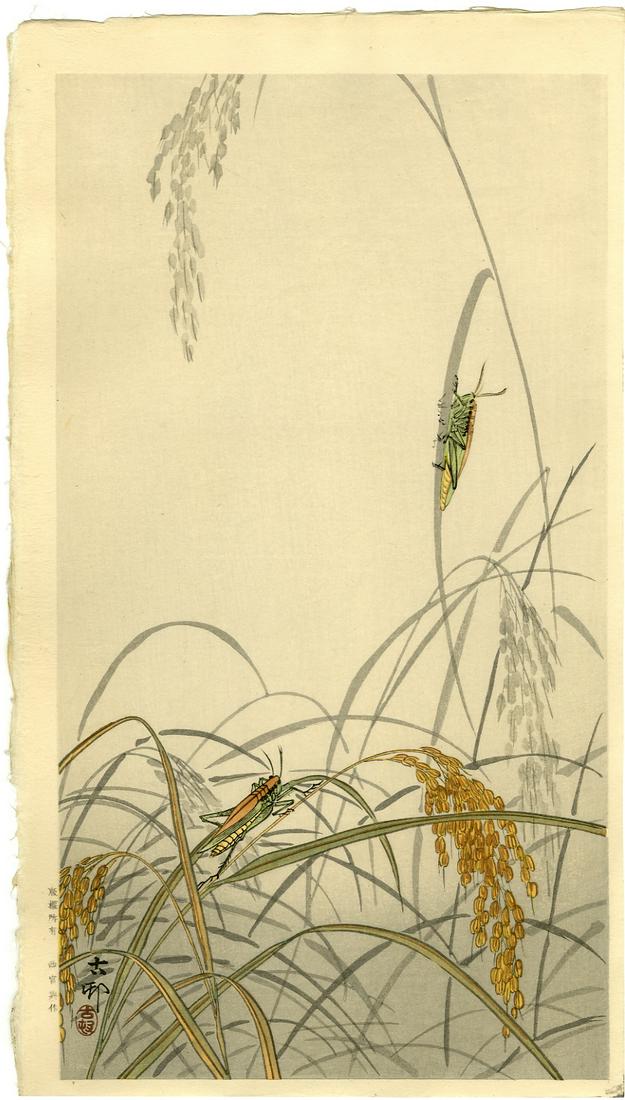 Koson Ohara: Grasshopper on Wheat 1920s Woodblock: Japanese Woodblock Print, 1920s, published by Nishinomiya with publishers seal in left margin SIZE IN INCHES: ohosoban, 8.25 x 14.675 inches PROVENANCE: From the Robert O. Muller estate OHARA KOSON (1