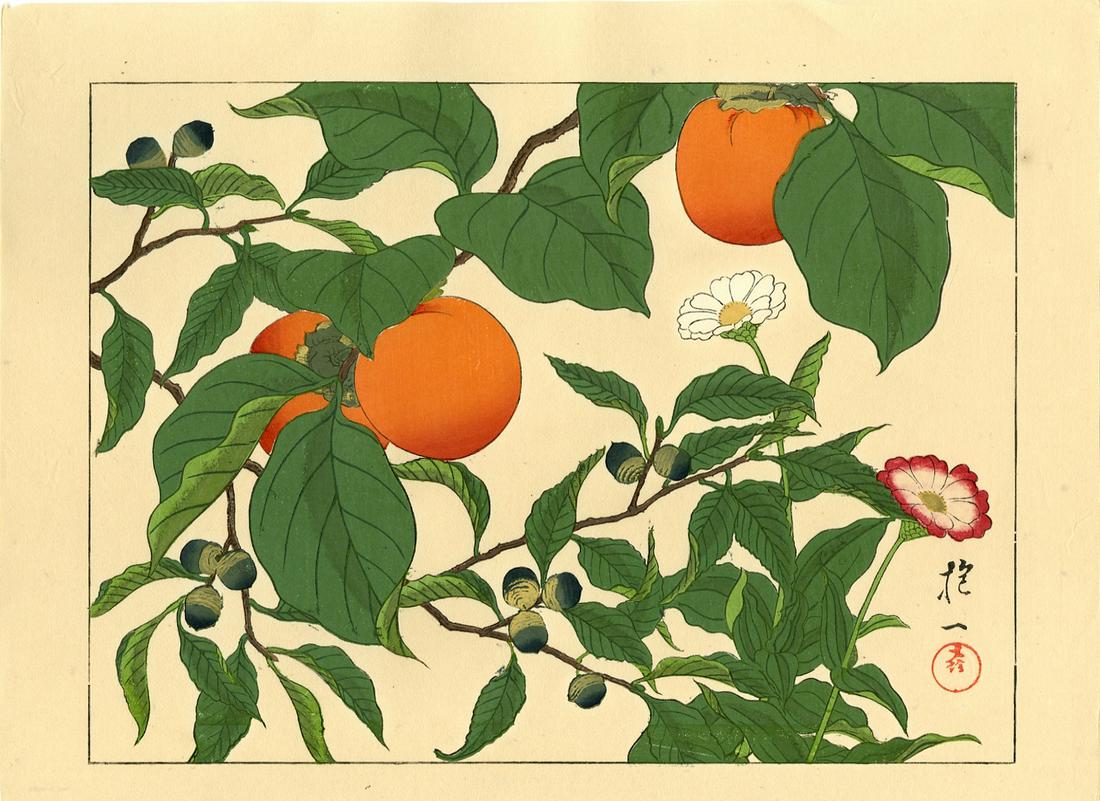 Not Read: Persimmons and Acorns 1930s Woodblock (1 of 2)