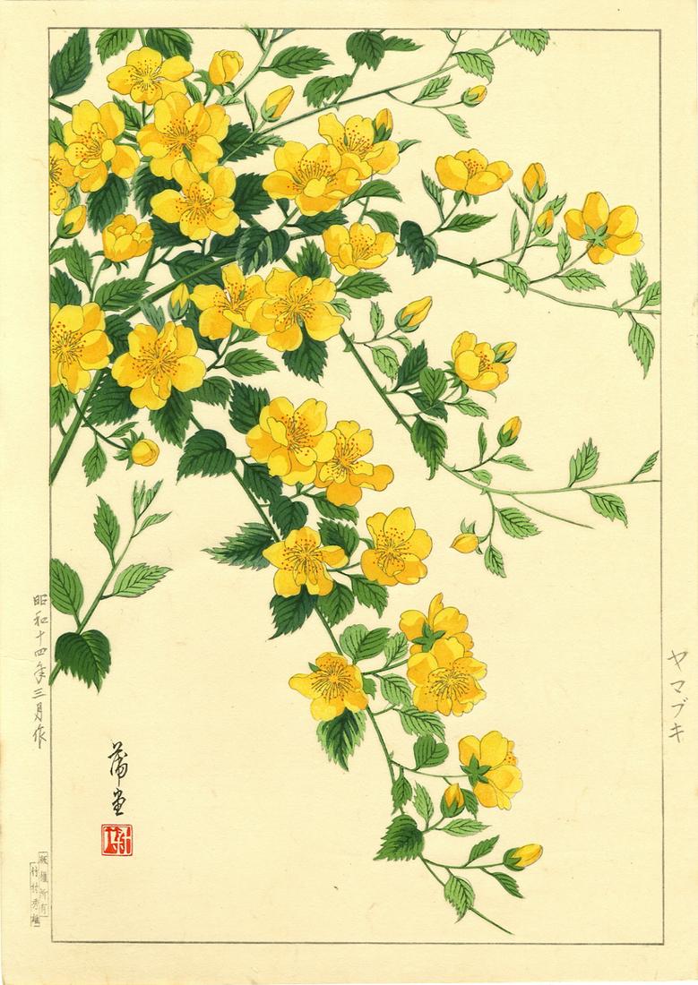 Hodo Nishimura: Yellow Azalea 1938 1st Ed. Woodblock (1 of 2)