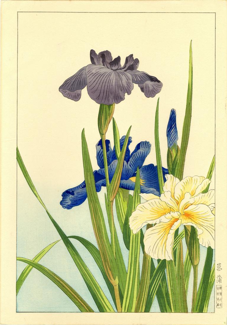 Hodo Nishimura: Irises 1938 Woodblock (1 of 2)