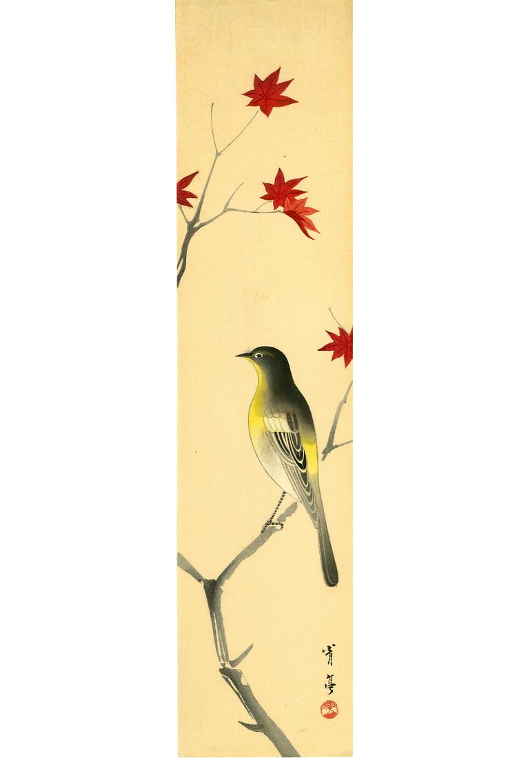 Watanabe Seitei: Wagtail on a Maple Tree 1930s (1 of 2)