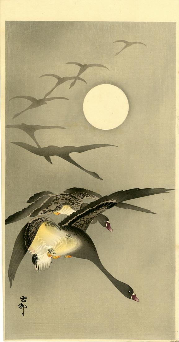 Koson Ohara: Geese and Full Moon 1920s Woodblock: Japanese Woodblock Print, 1920s, published by Daikokuya SIZE IN INCHES: ohosoban, 7.5 x 14.5 inches PROVENANCE: From the Robert O. Muller estate OHARA KOSON (1877-1945), who also went by the art names