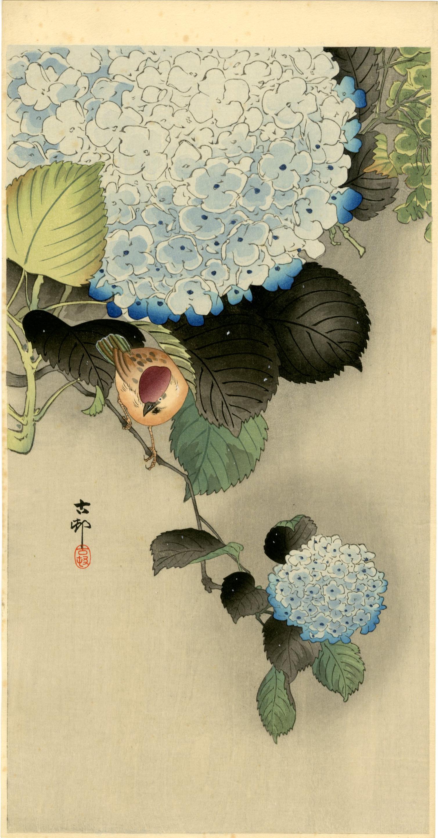 Ohara Koson: Sparrow and Hydrangea 1920s Woodblock (1 of 2)