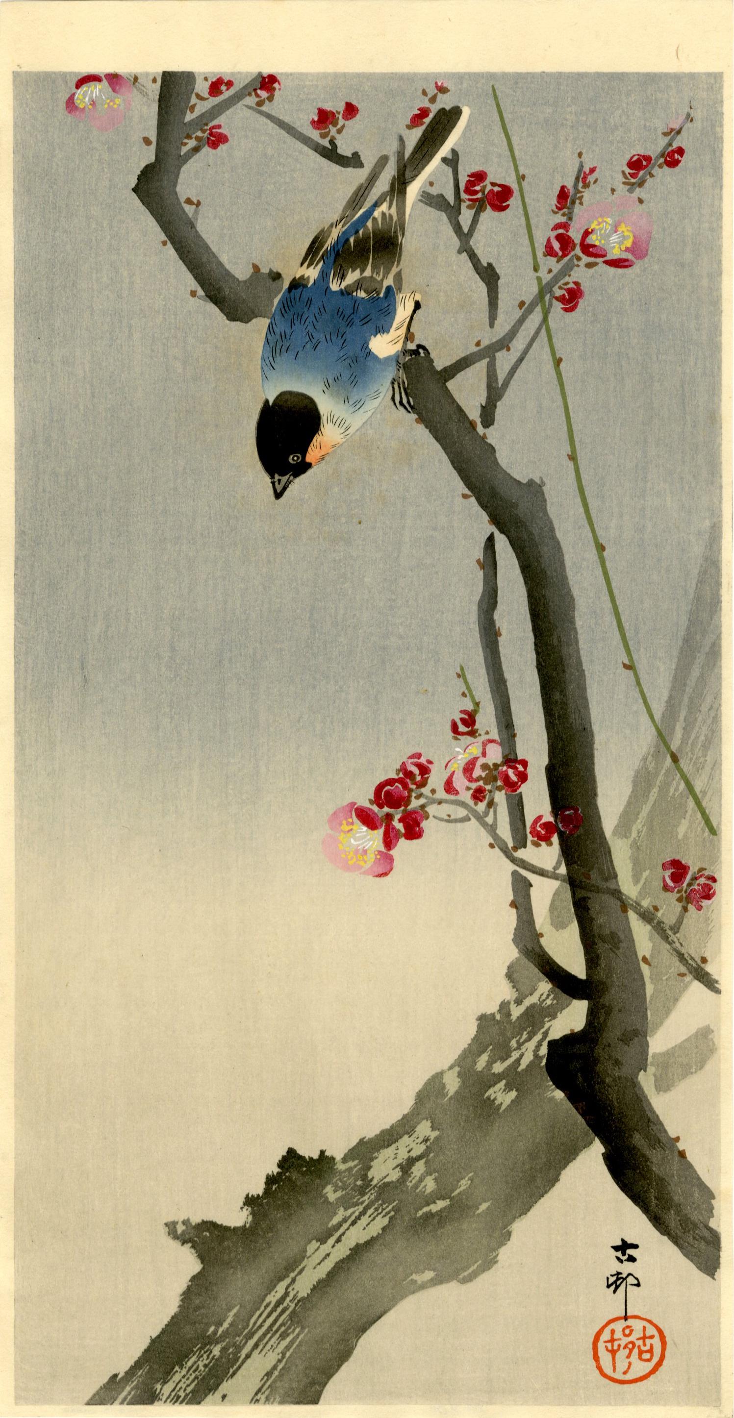 Ohara Koson: Blue Bird on a Plum Tree 1920s Woodblock (1 of 2)
