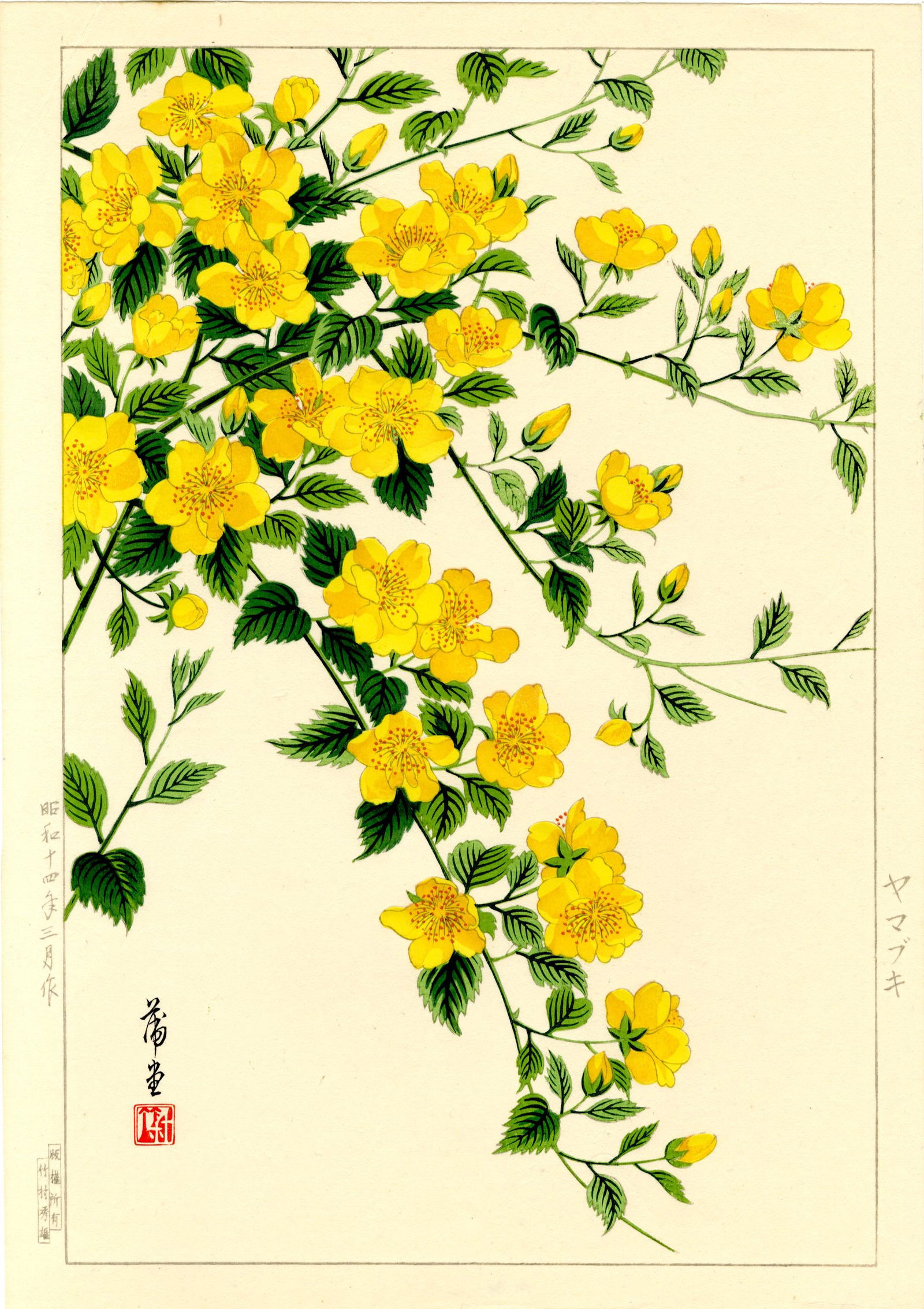 Hodo Nishimura: Yellow Azalea 1938 1st Ed. Woodblock (1 of 2)