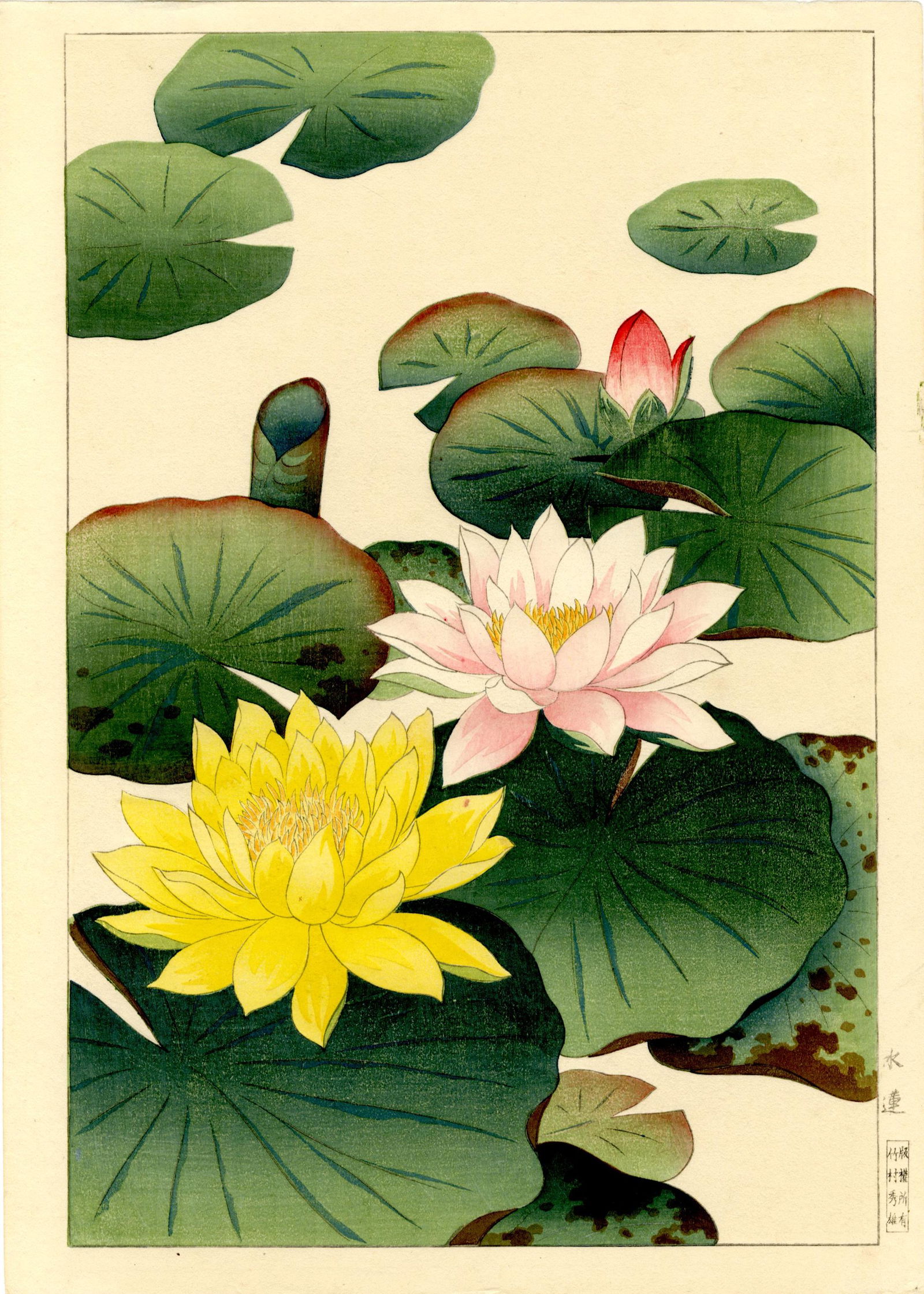 Hodo Nishimura: Lotus Blossoms 1938 Woodblock (1 of 2)