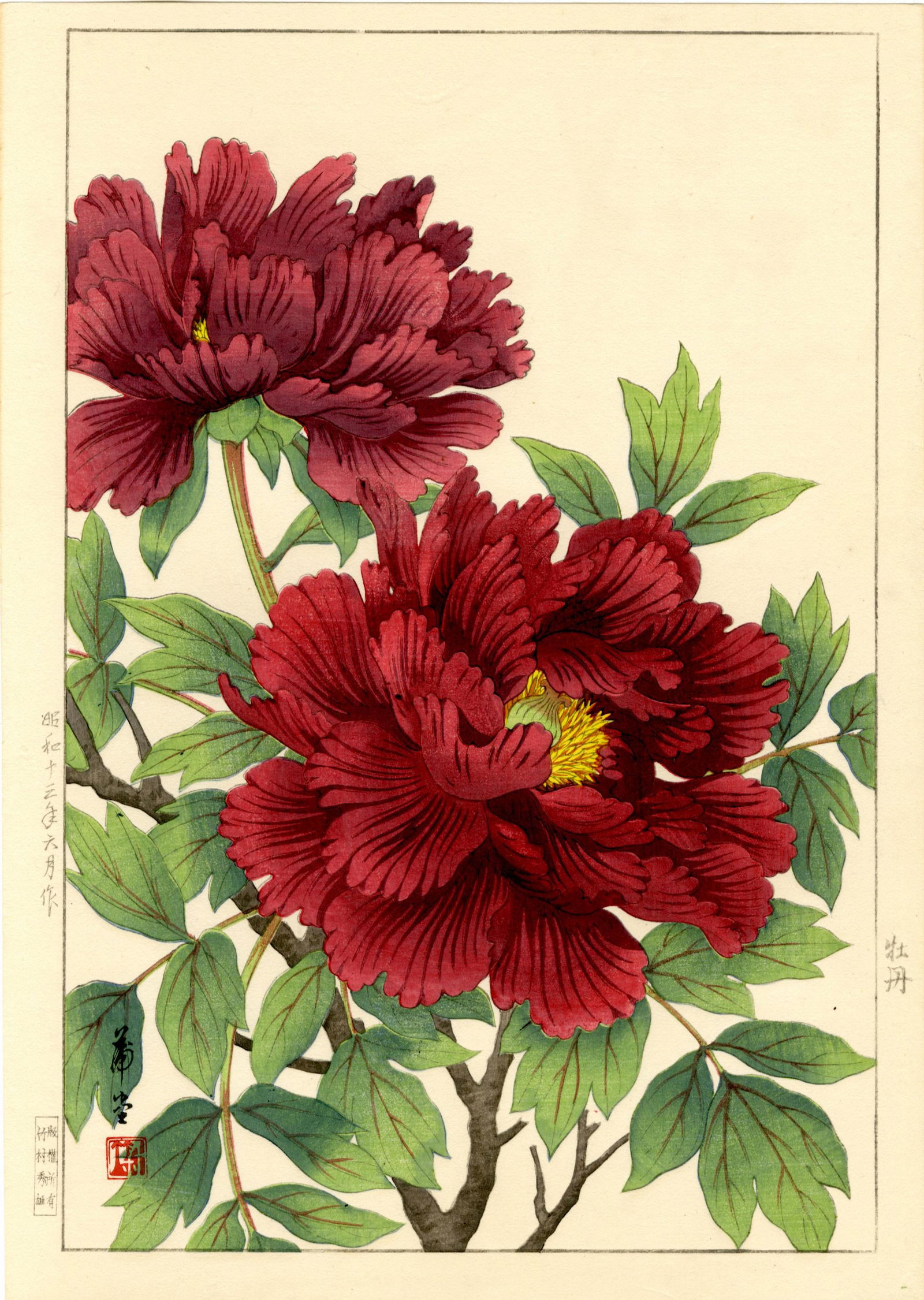 Hodo Nishimura: Peony 1938 1st Ed. Woodblock (1 of 2)