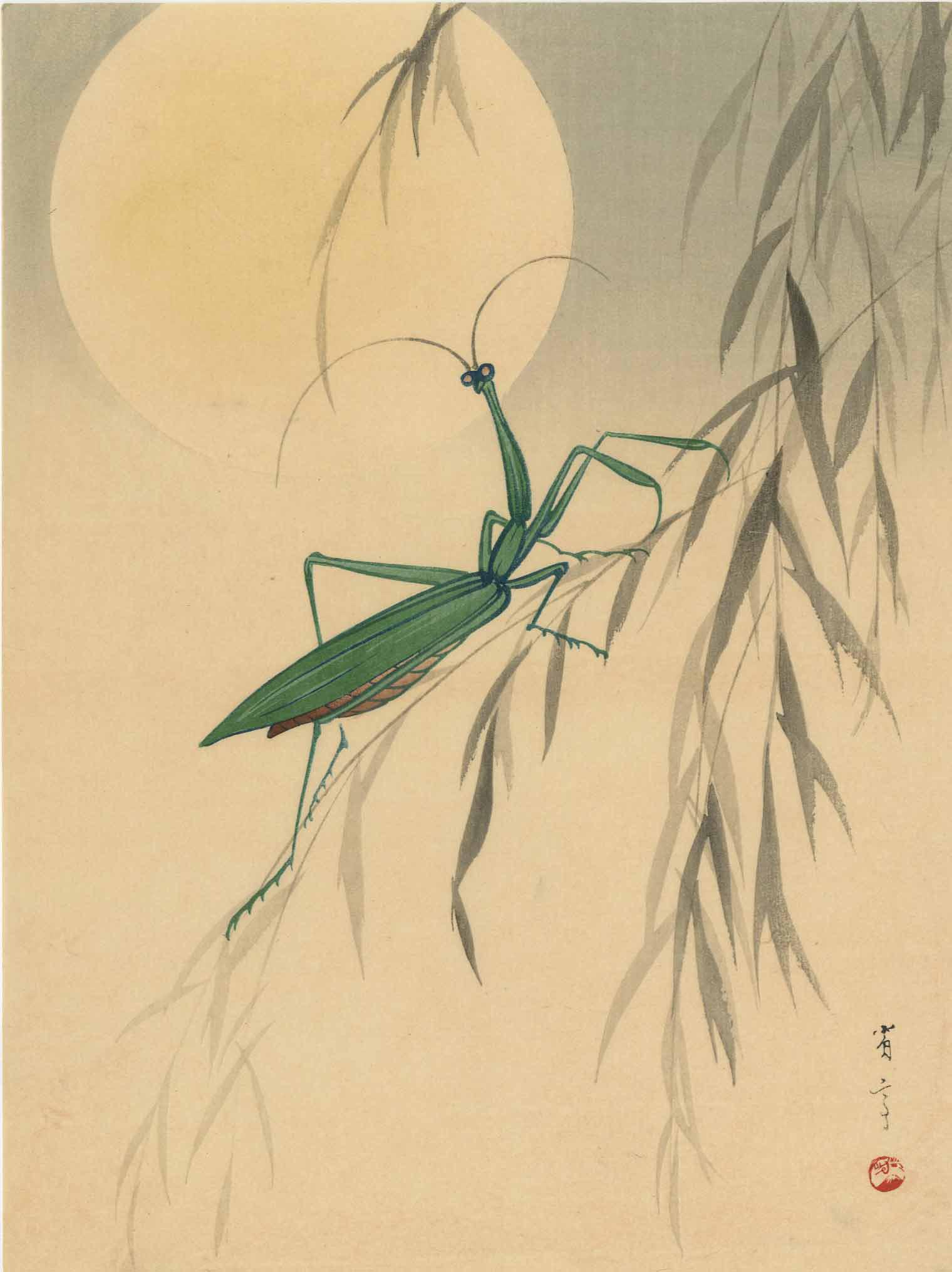 Watanabe Seitei - Praying Mantis Willow Moon MULLER Est (1 of 2)