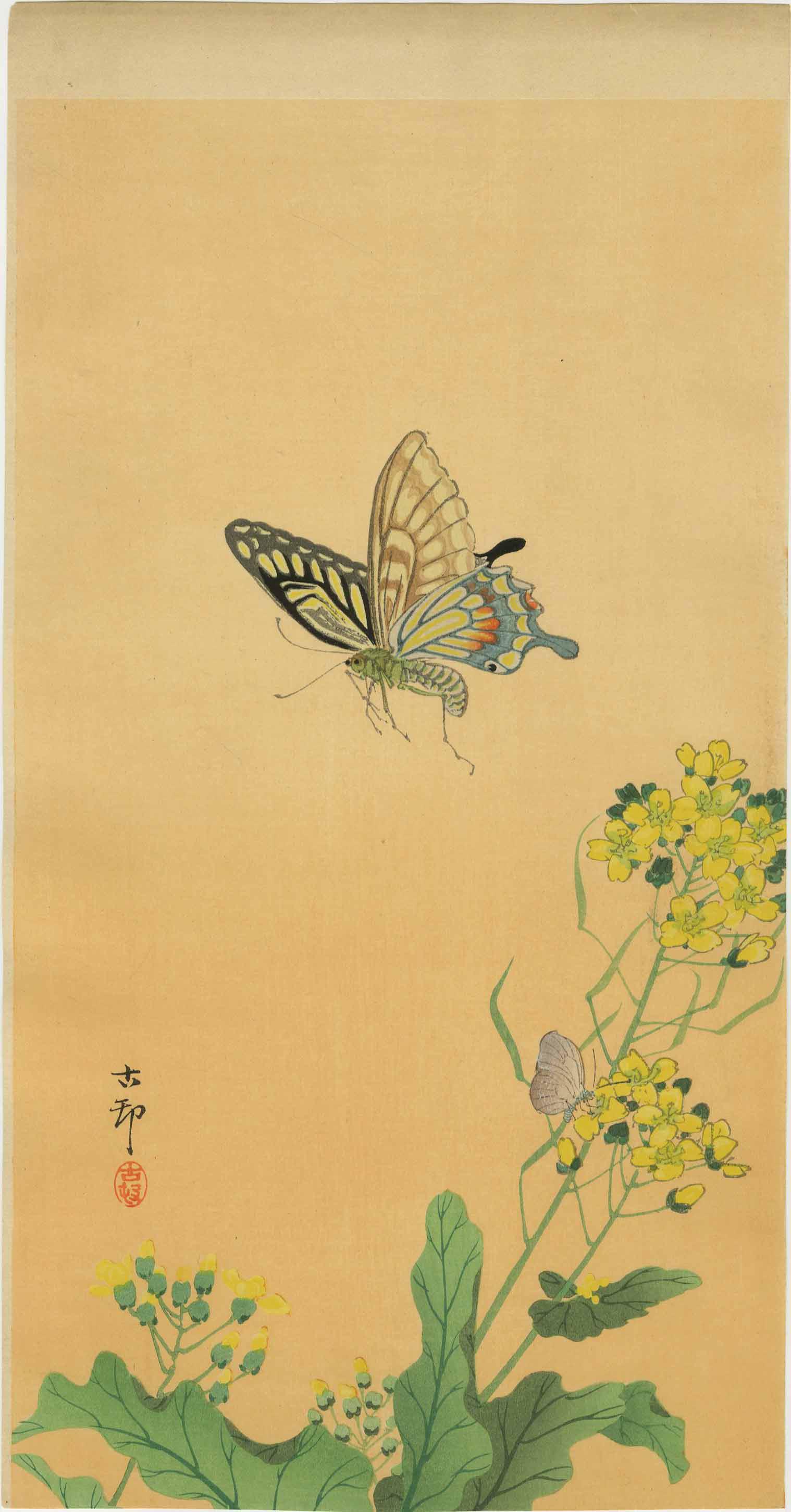 Koson Ohara - Butterfly above Flowers 1920s RARE (1 of 2)