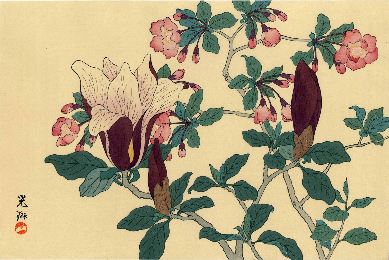 Ogata Korin: Magnolia 1930s Woodblock (1 of 2)