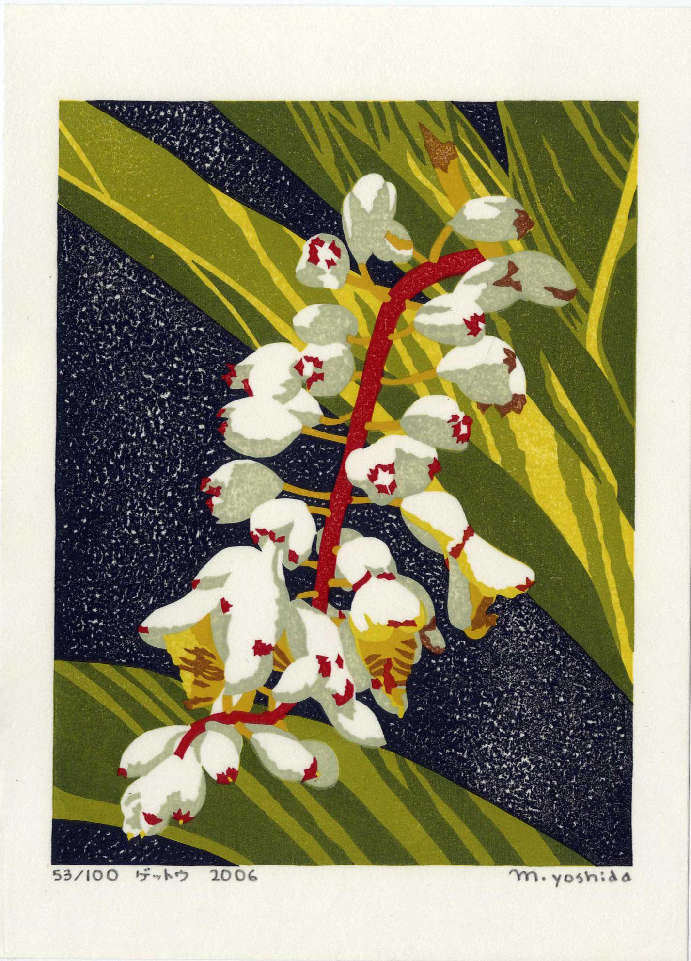 Masaki Yoshida: White Foxglove 2006 1st Ed. Woodblock (1 of 2)