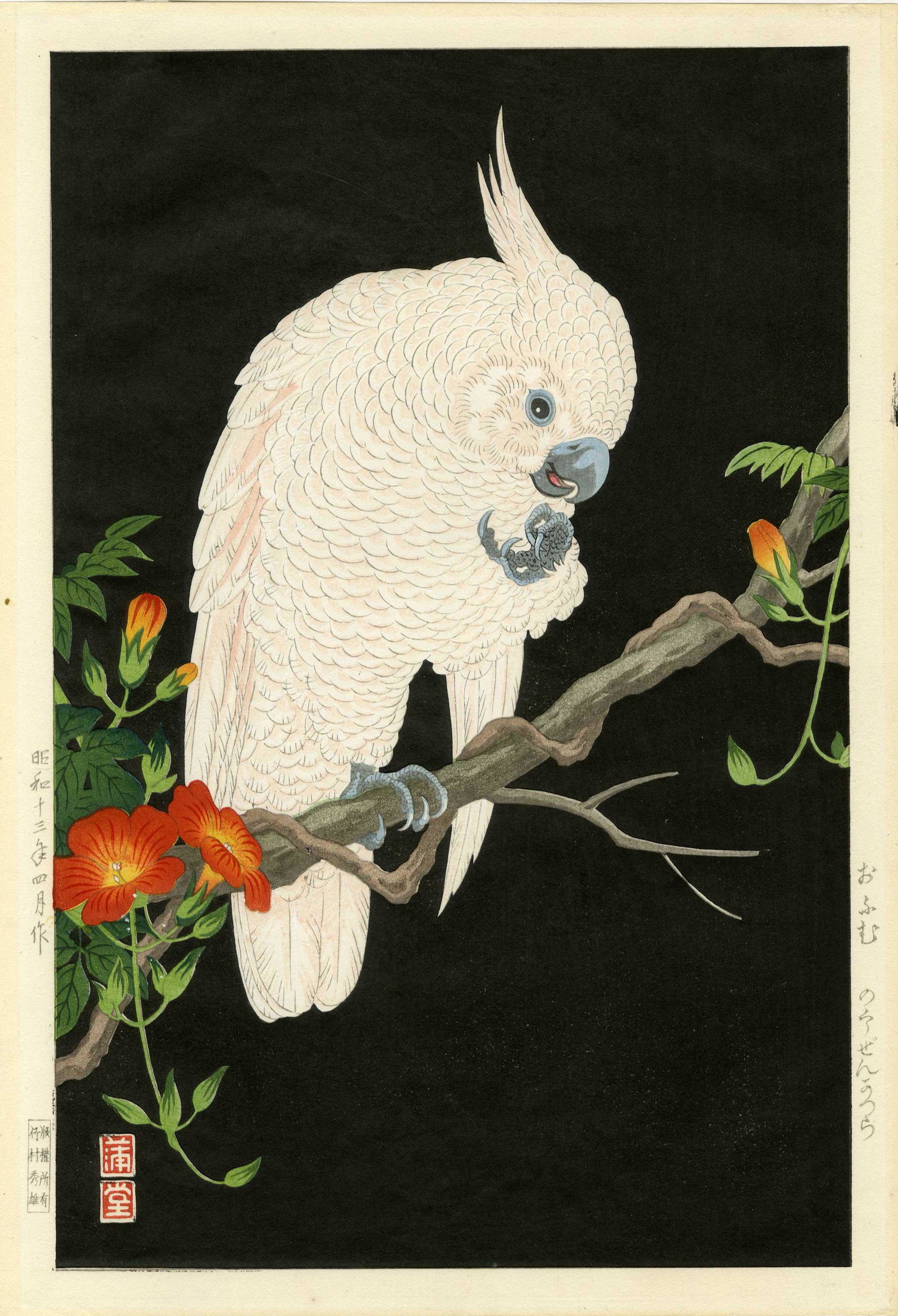 Hodo Nishimura: Cockatoo on Black 1938 1st Ed. (1 of 2)