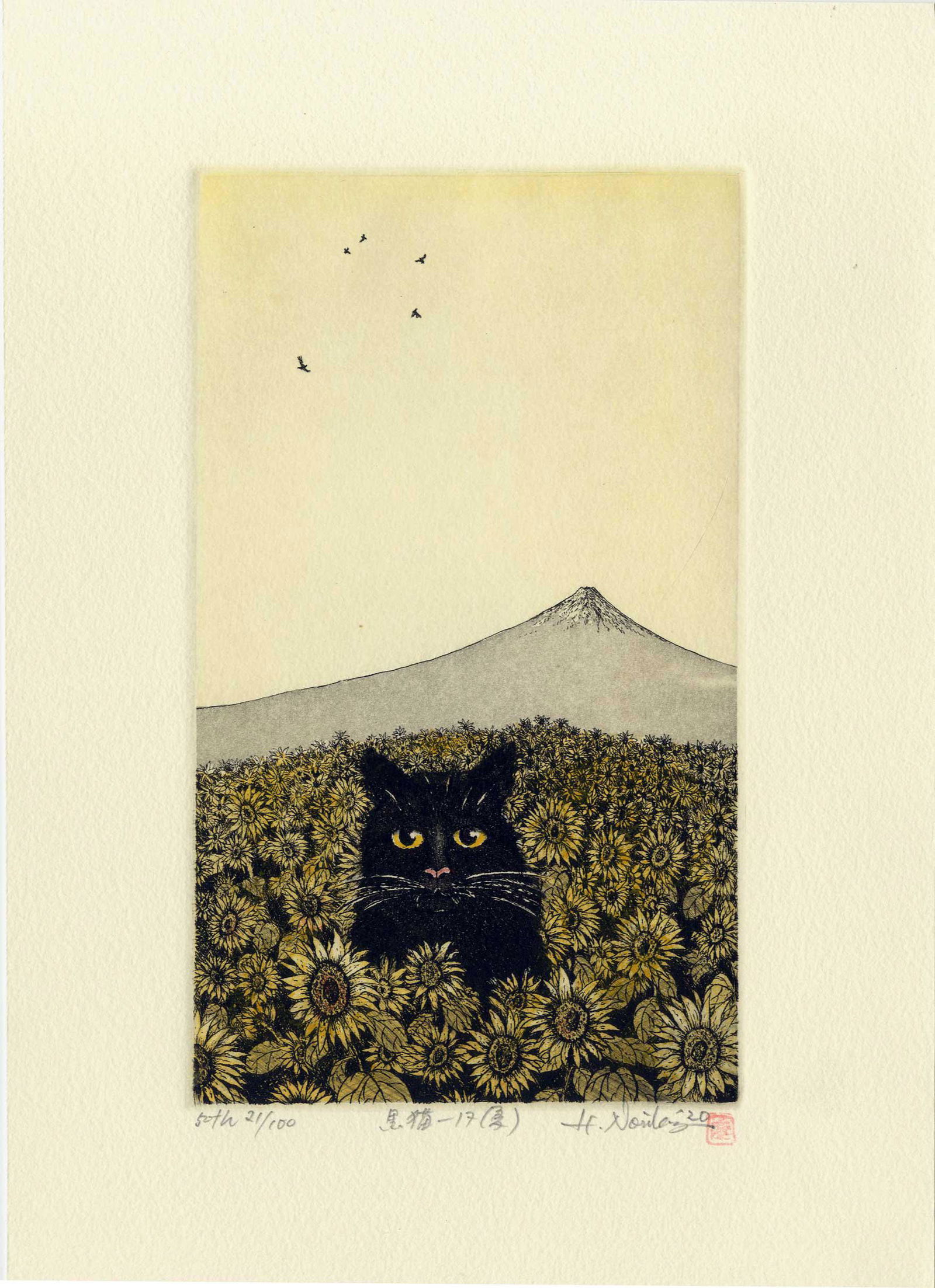 Norikane Hiroto: Black Cat Summer 2020 1st Ed. (1 of 2)