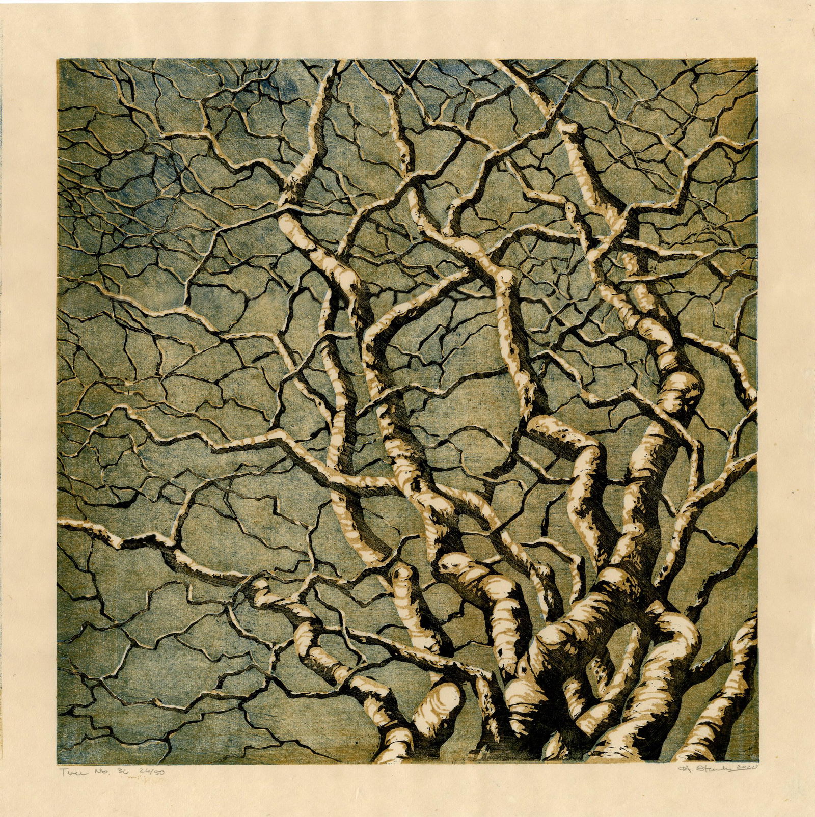 A. Starkey: Tree No.36 2020 1st Ed Woodblock (1 of 2)