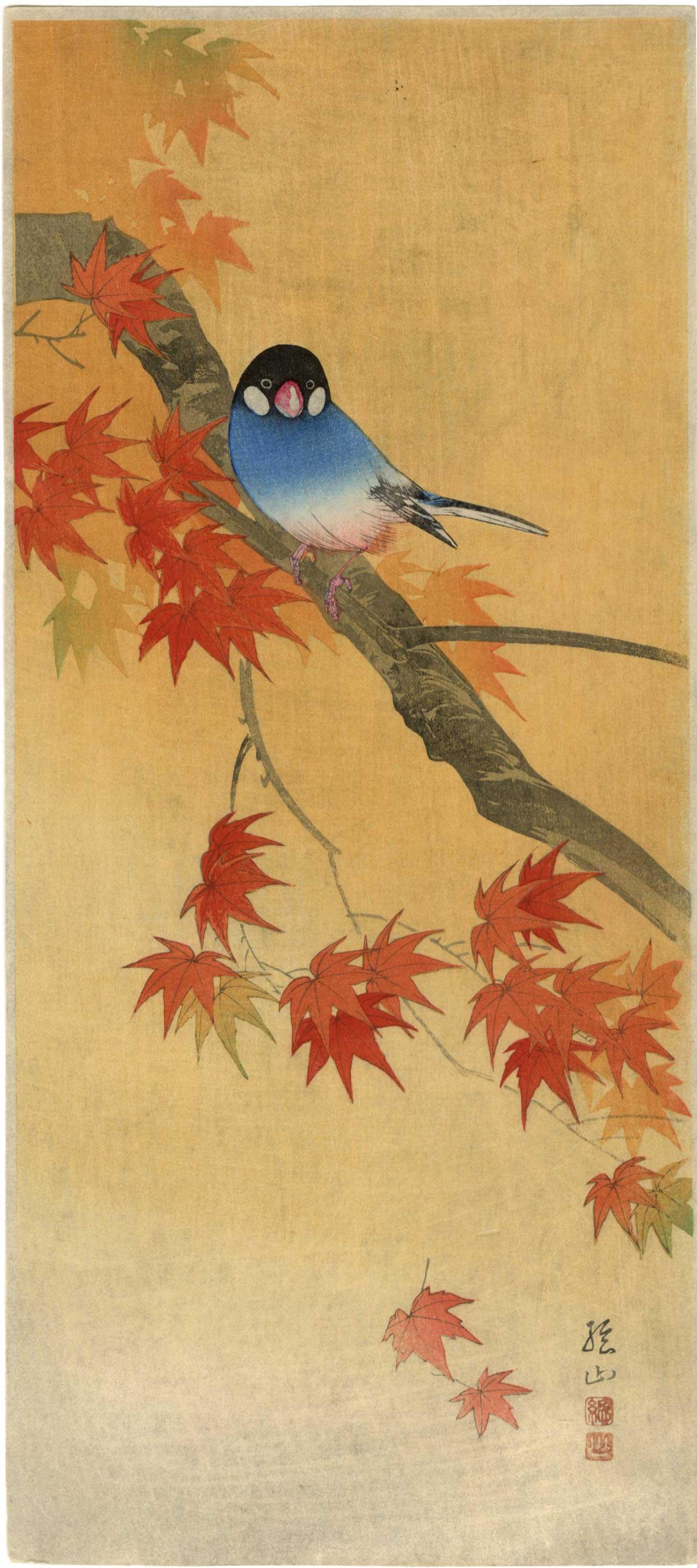 Sozan Ito - Java Sparrow on Maple 1925 woodblock NR (1 of 2)