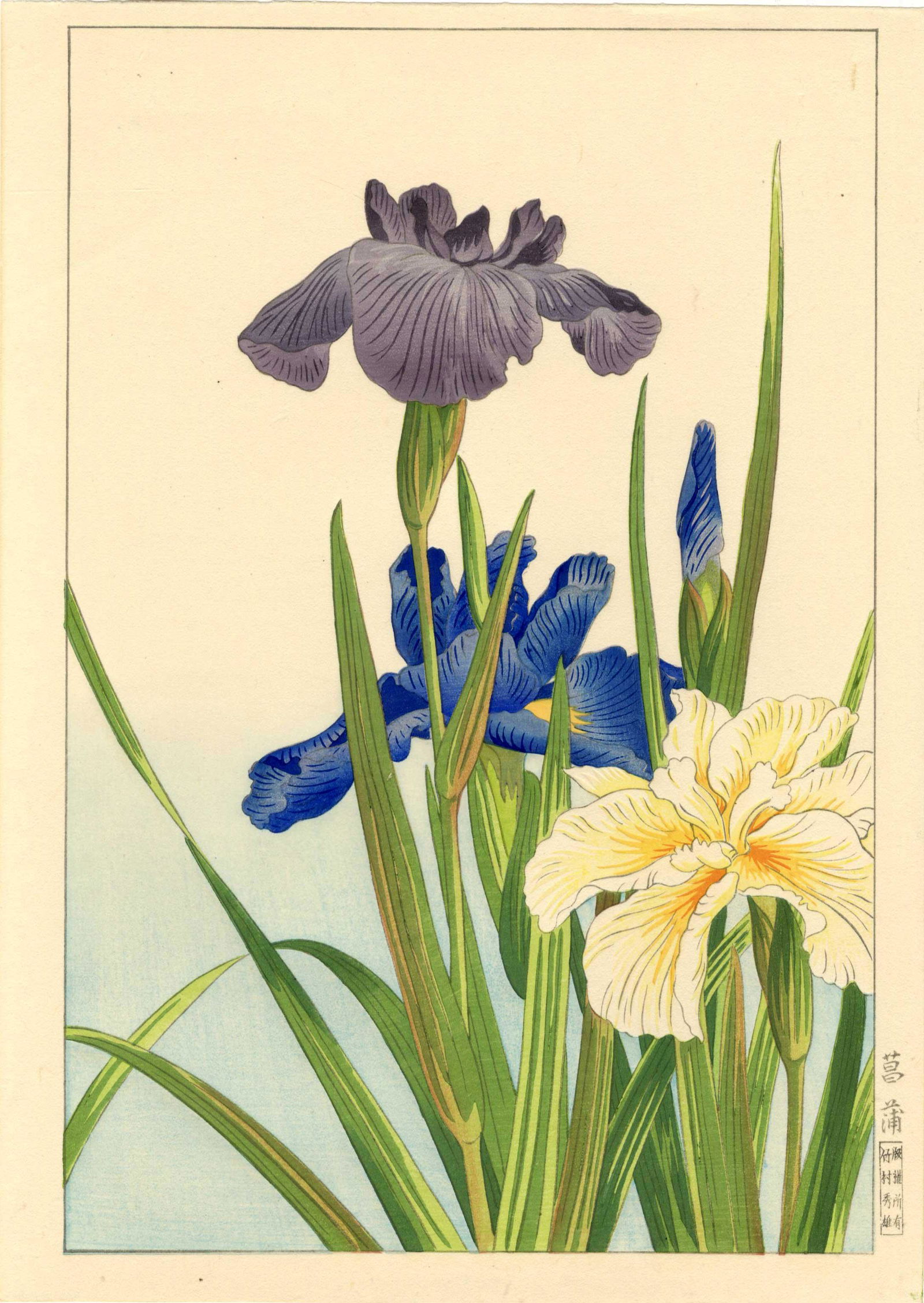 Hodo Nishimura: Iris 1938 Woodblock Japanese Woodblock (1 of 2)