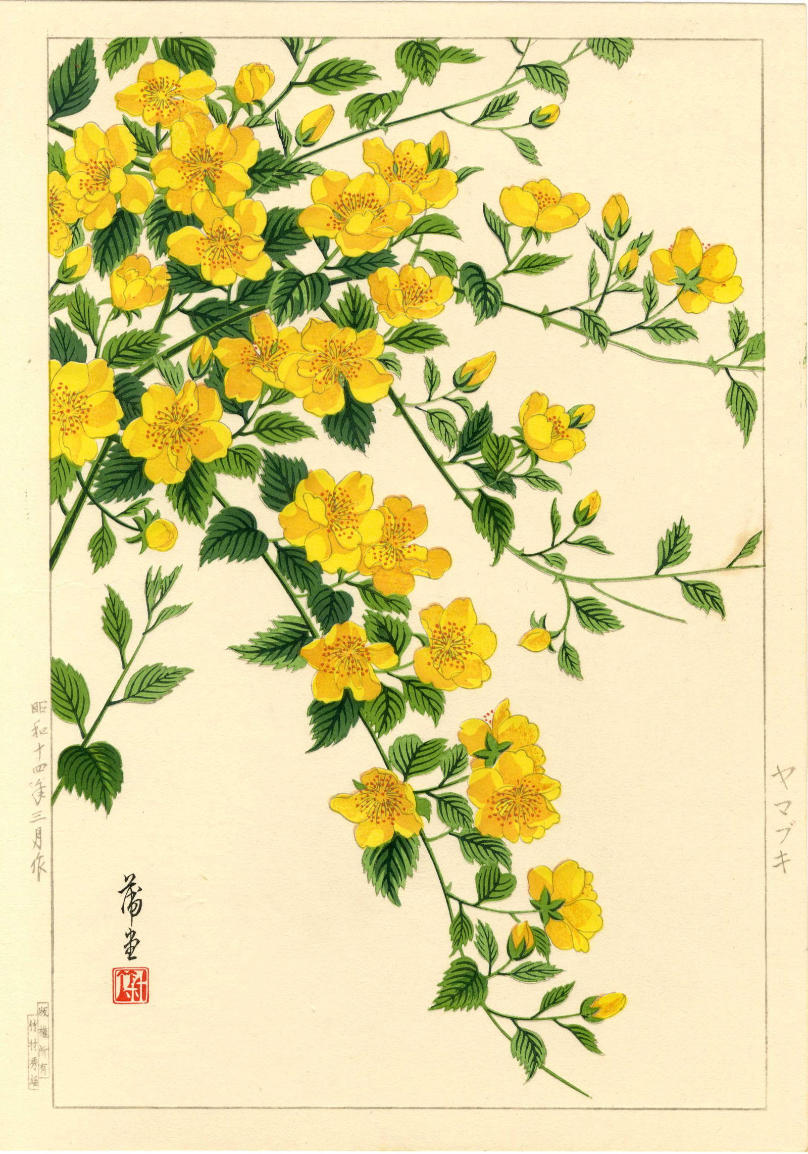 Hodo Nishimura: Japanese Rose (Kerria) 1938 1st Ed. (1 of 2)